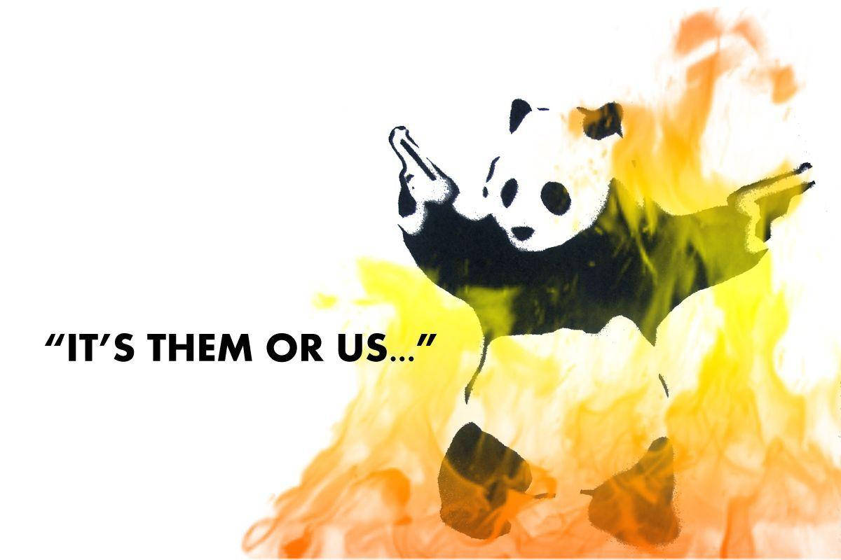 Mal Panda Vlamme Meme Muurpapier