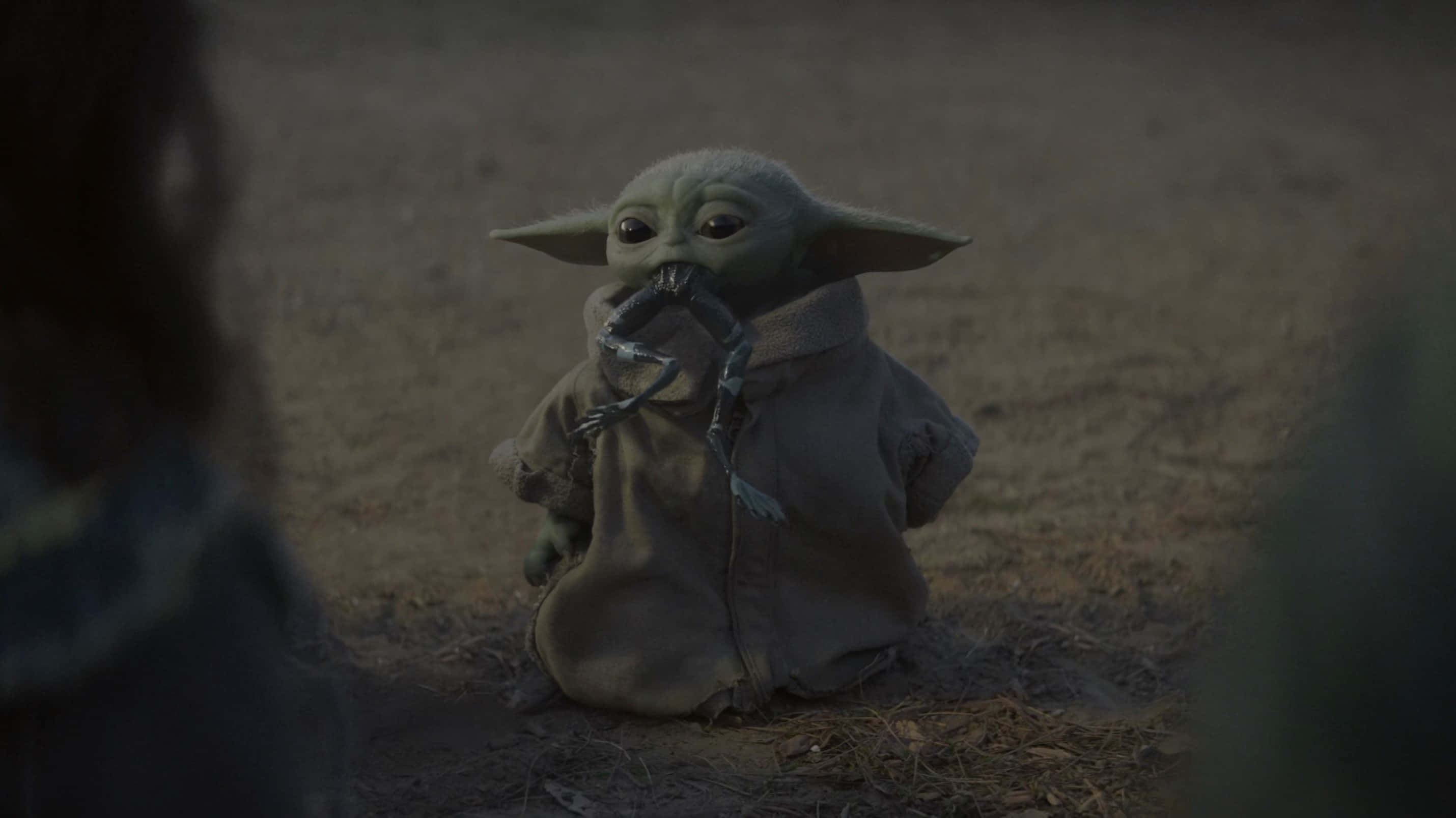 Mandalorian Yoda wat Padda bene byt Muurpapier