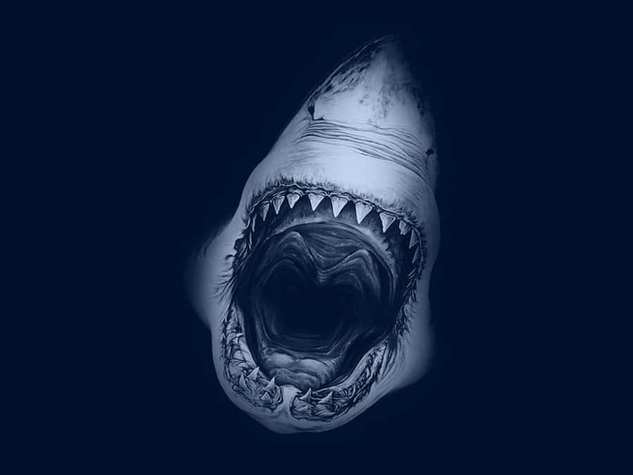 Megalodon Blou Estetiese Brul Prent Muurpapier