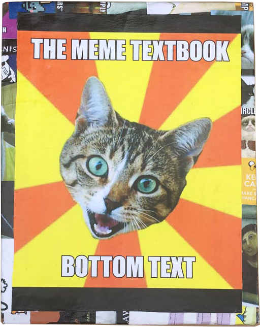 Meme Handboek Kat.JPG Muurpapier