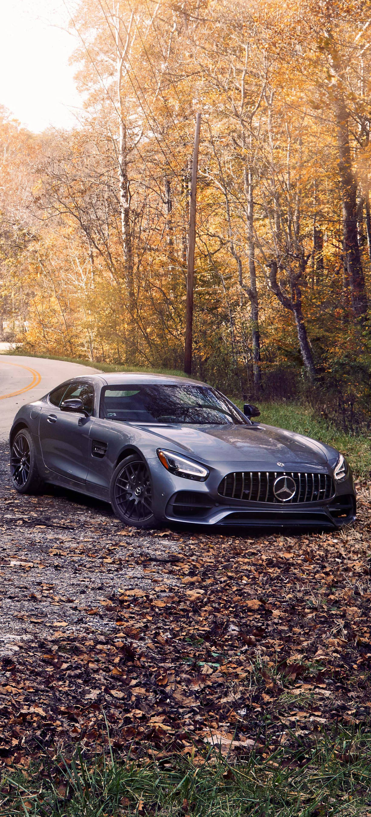 Mercedes AMG Herfsbome iPhone Muurpapier