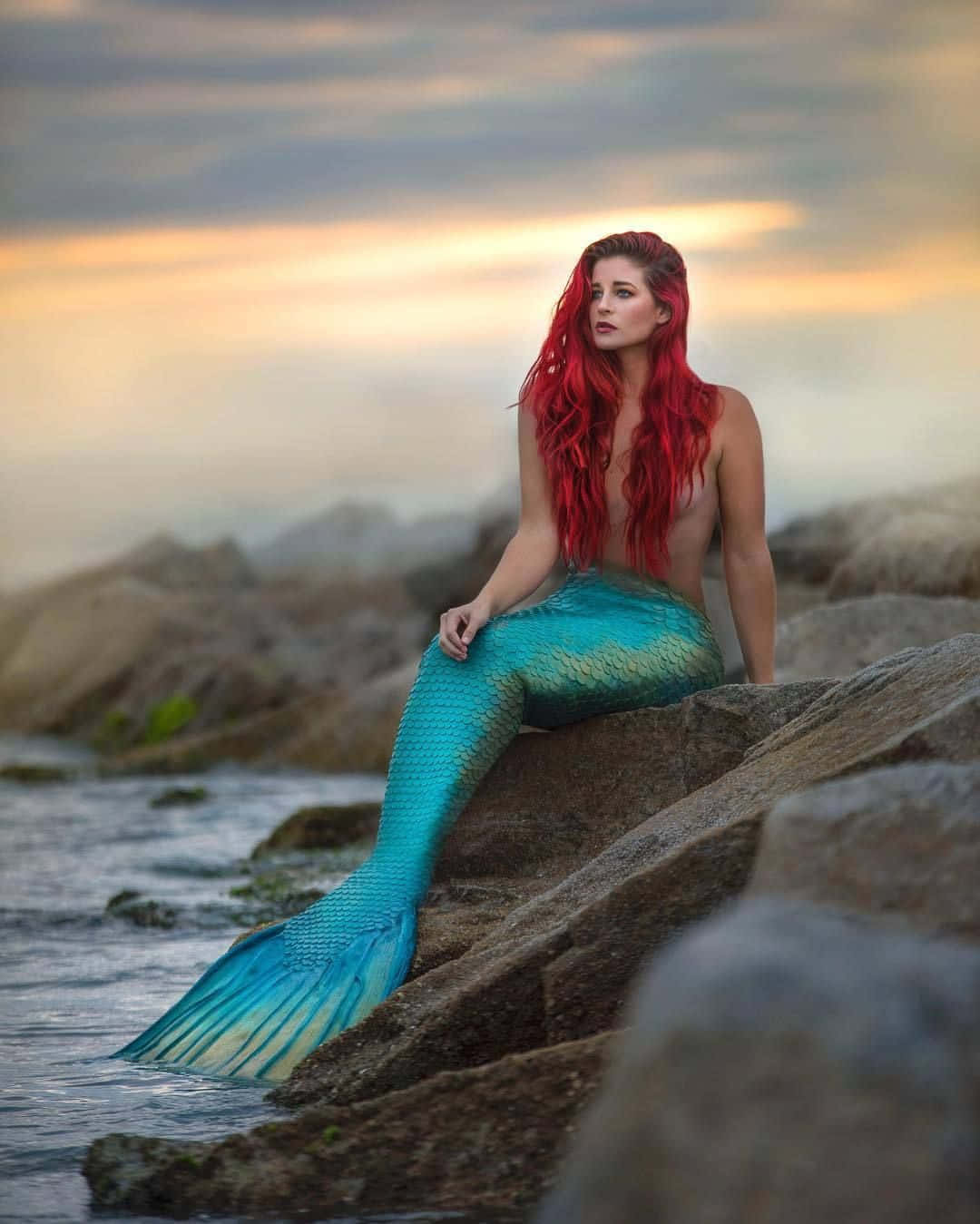 Mermaid Op Rots Regte Lewe Prent Muurpapier