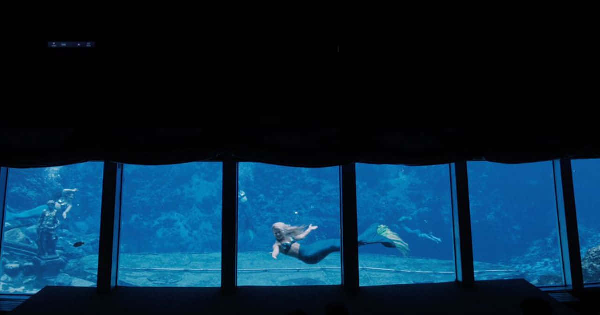 Mermaid Real Life Aquarium Prent Muurpapier