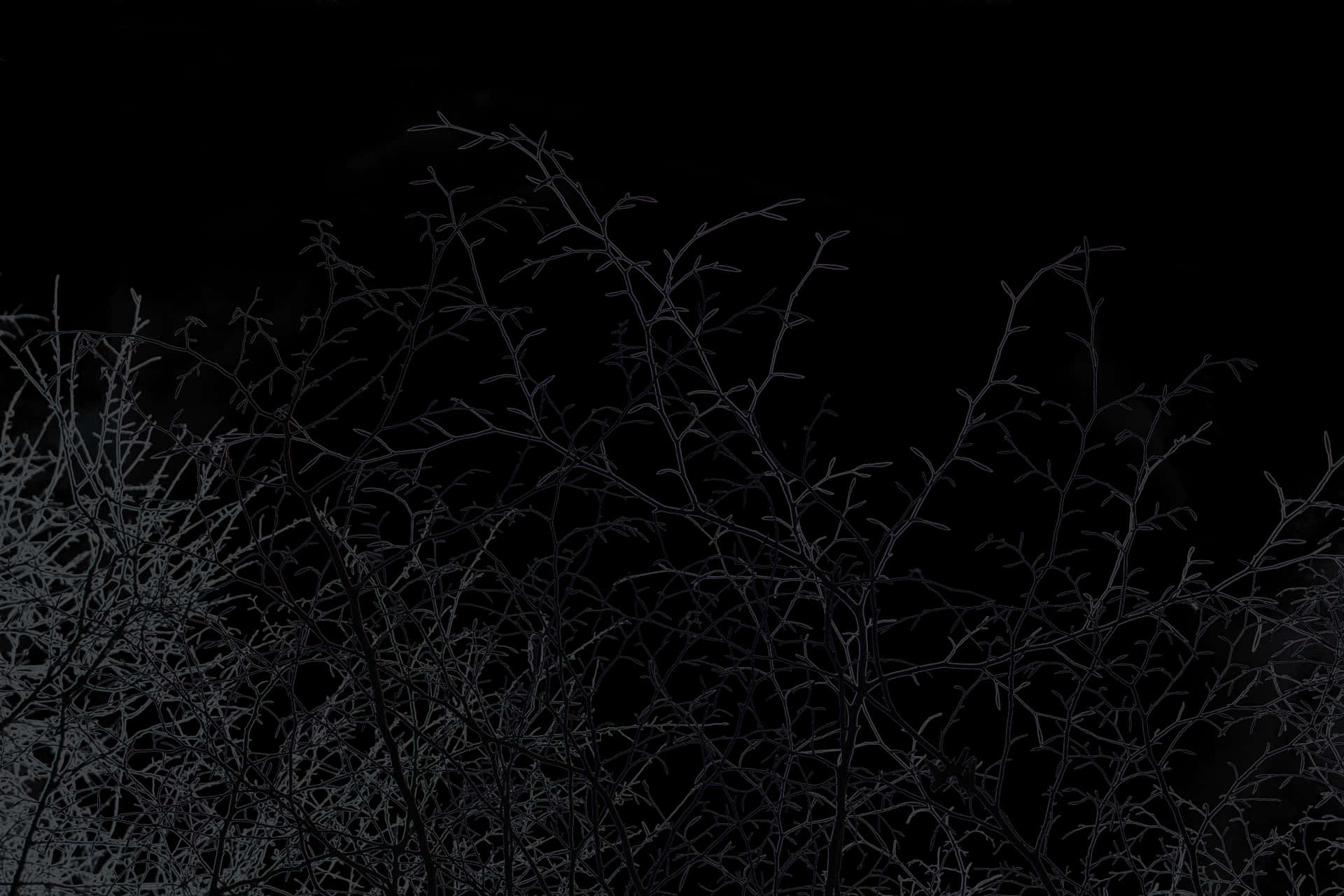 Midnagtakke Silhouet.JPG Muurpapier