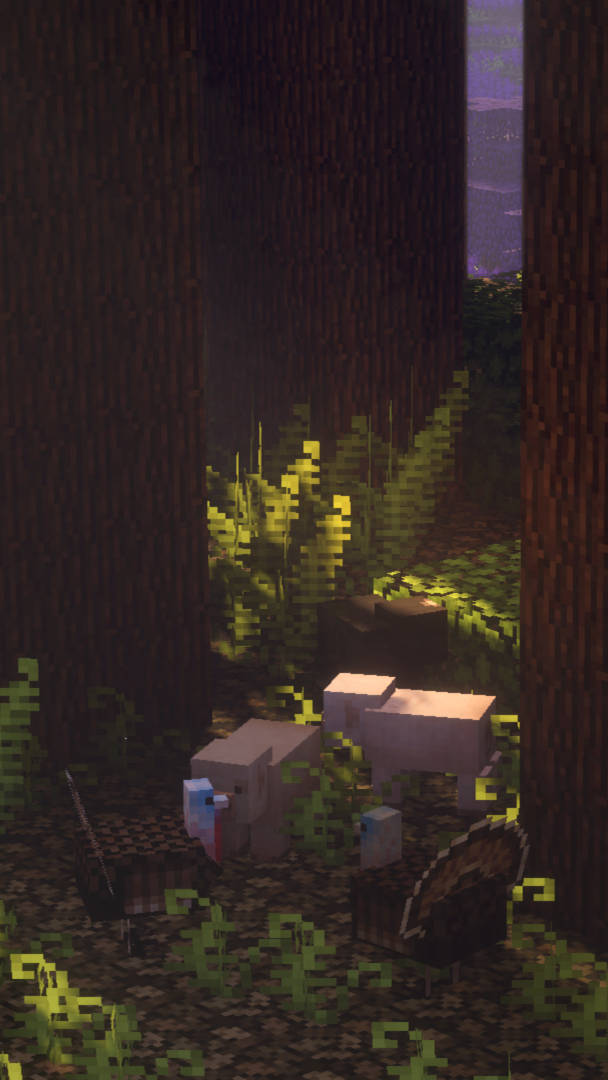 Minecraft Estetiese Versteekte Donker Bos Muurpapier