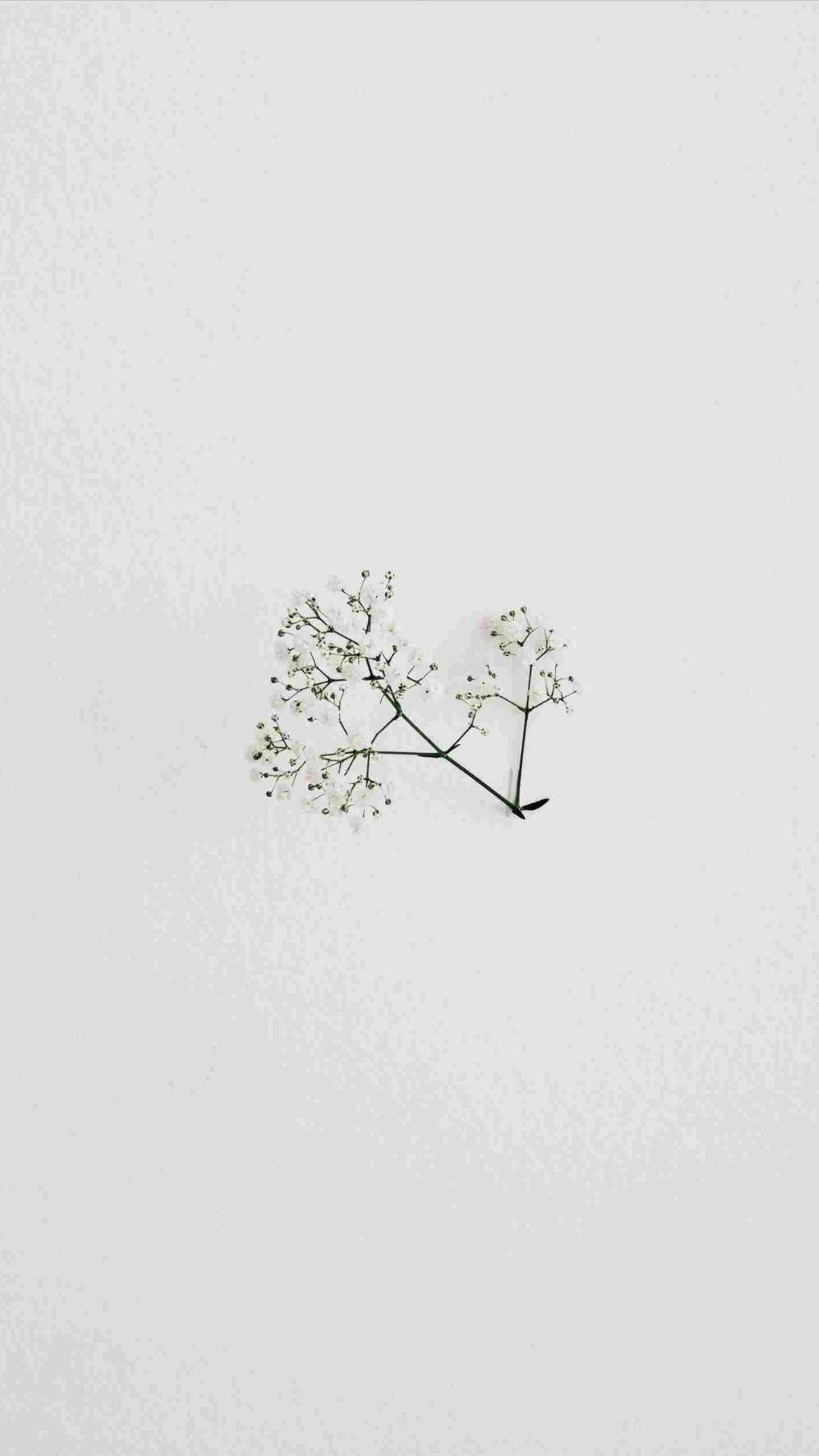 Minimale Blom Muurpapier