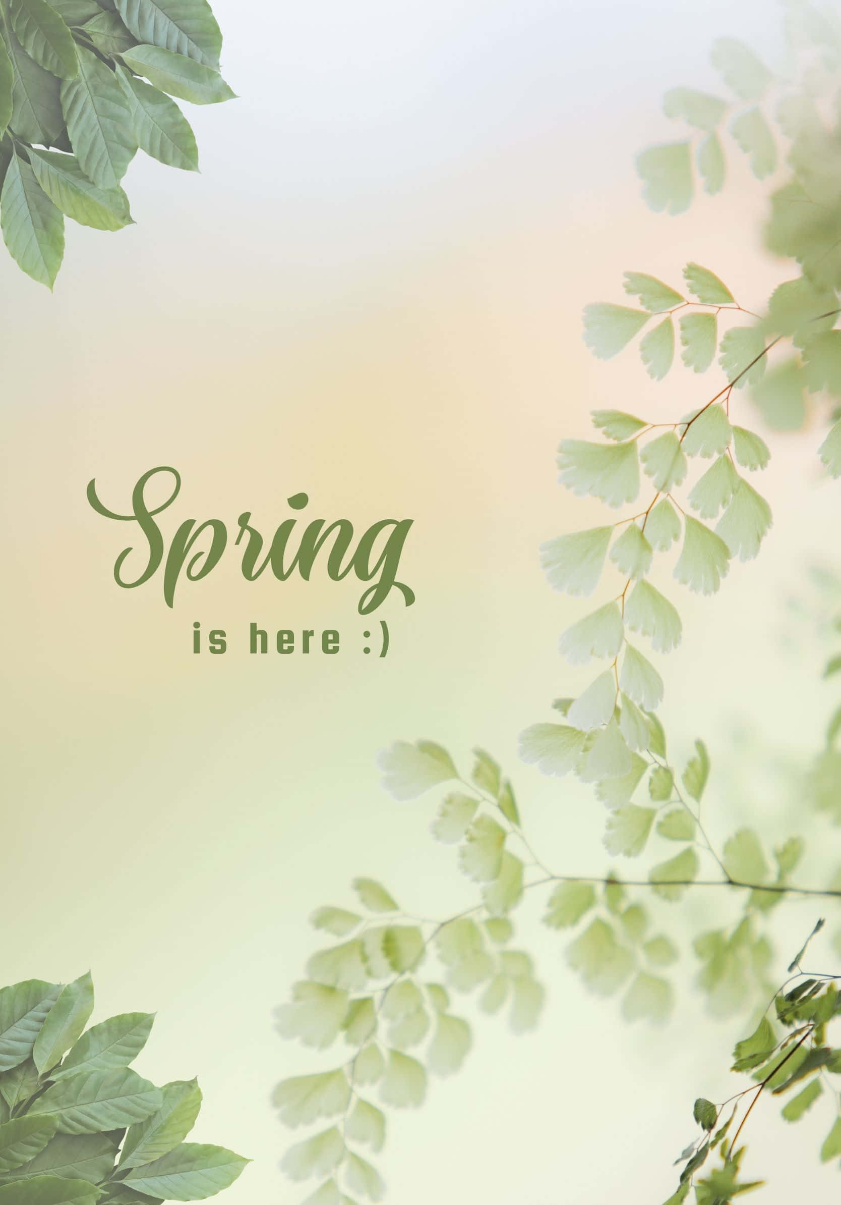 Minimalistiese Beste Lente-groen Blare-agtergrond Muurpapier