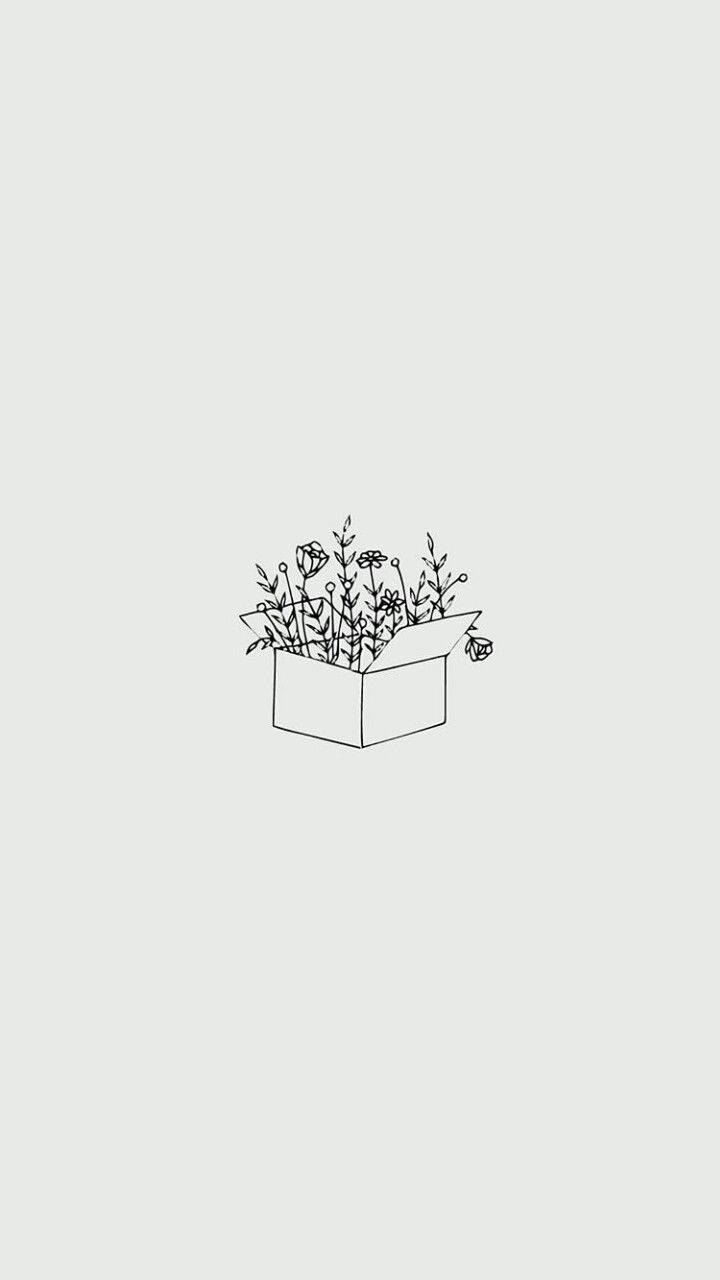 Minimalistiese Estetiese Boks Gevul Met Blomme Muurpapier