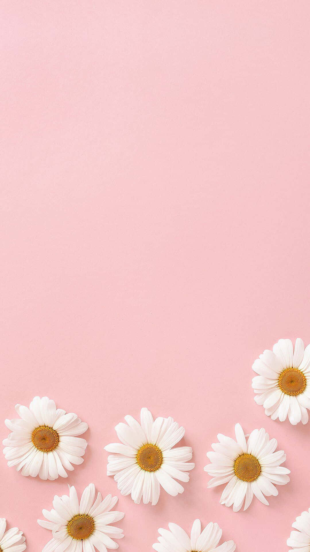 Minimalistiese Pastel Pienk Tekstuur Agtergrond Muurpapier