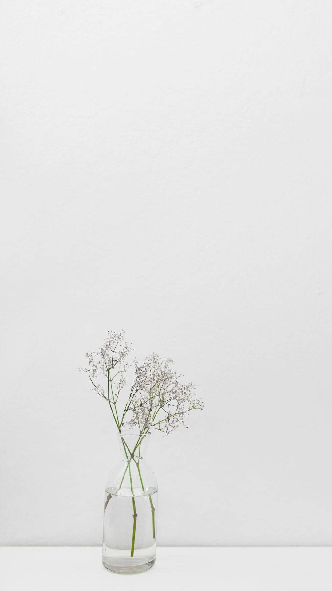 Minimalistiese Wit Pot Muurpapier