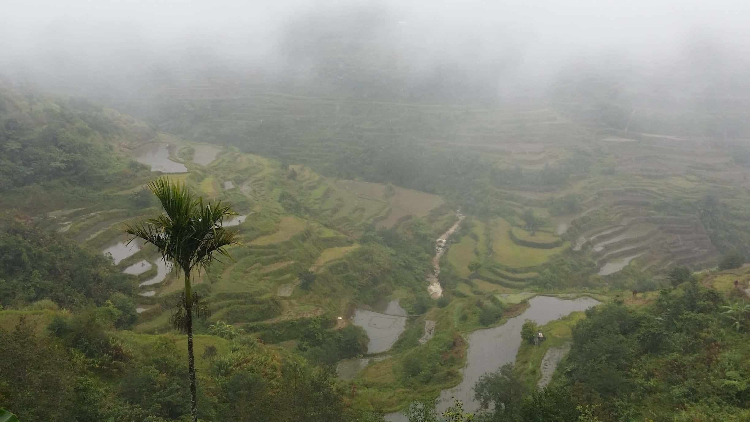 Misagtige Banaue Rysterrasse in die Filippyne Muurpapier