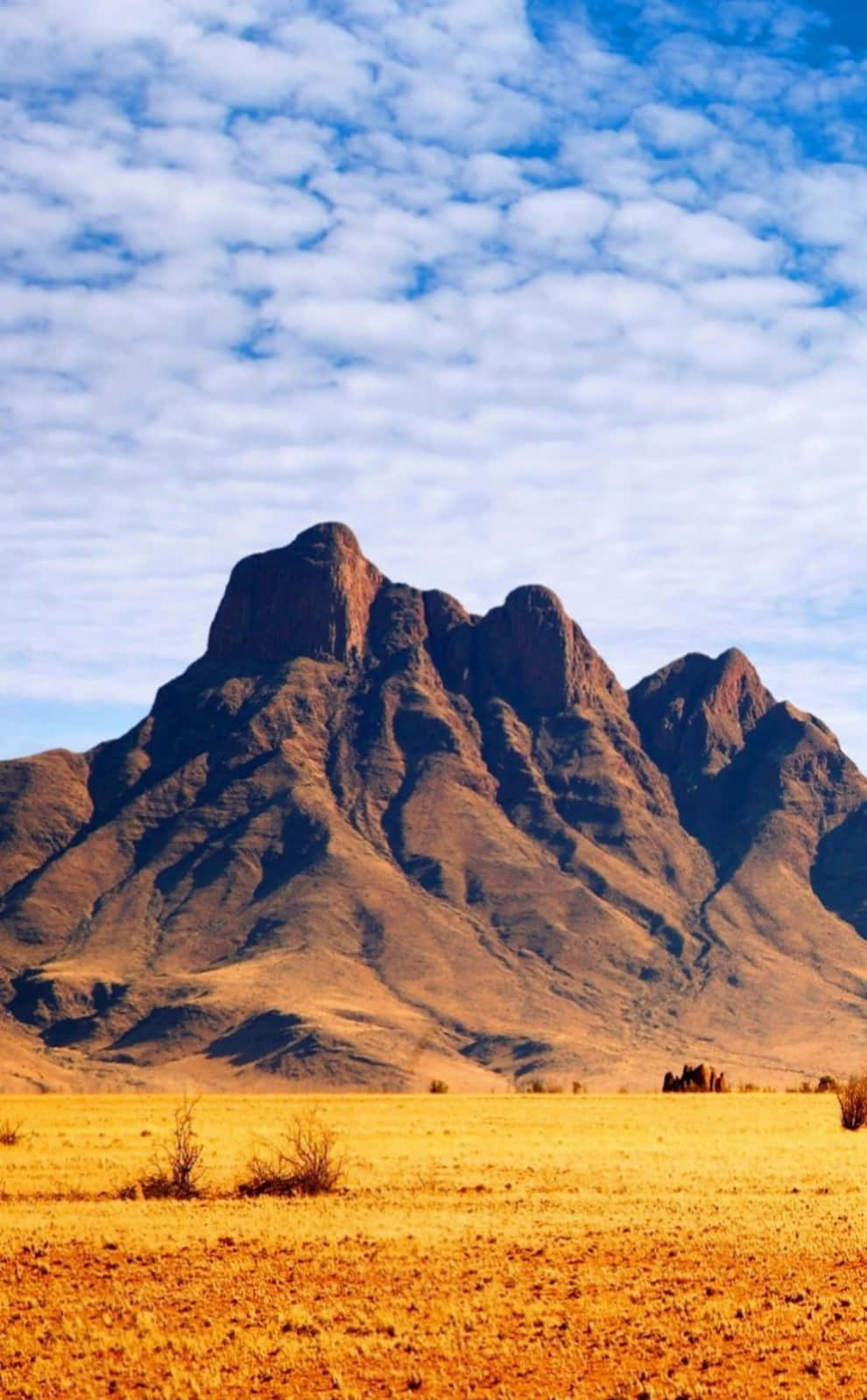 Moderne Afrikaanse Foon Tegnologie Muurpapier