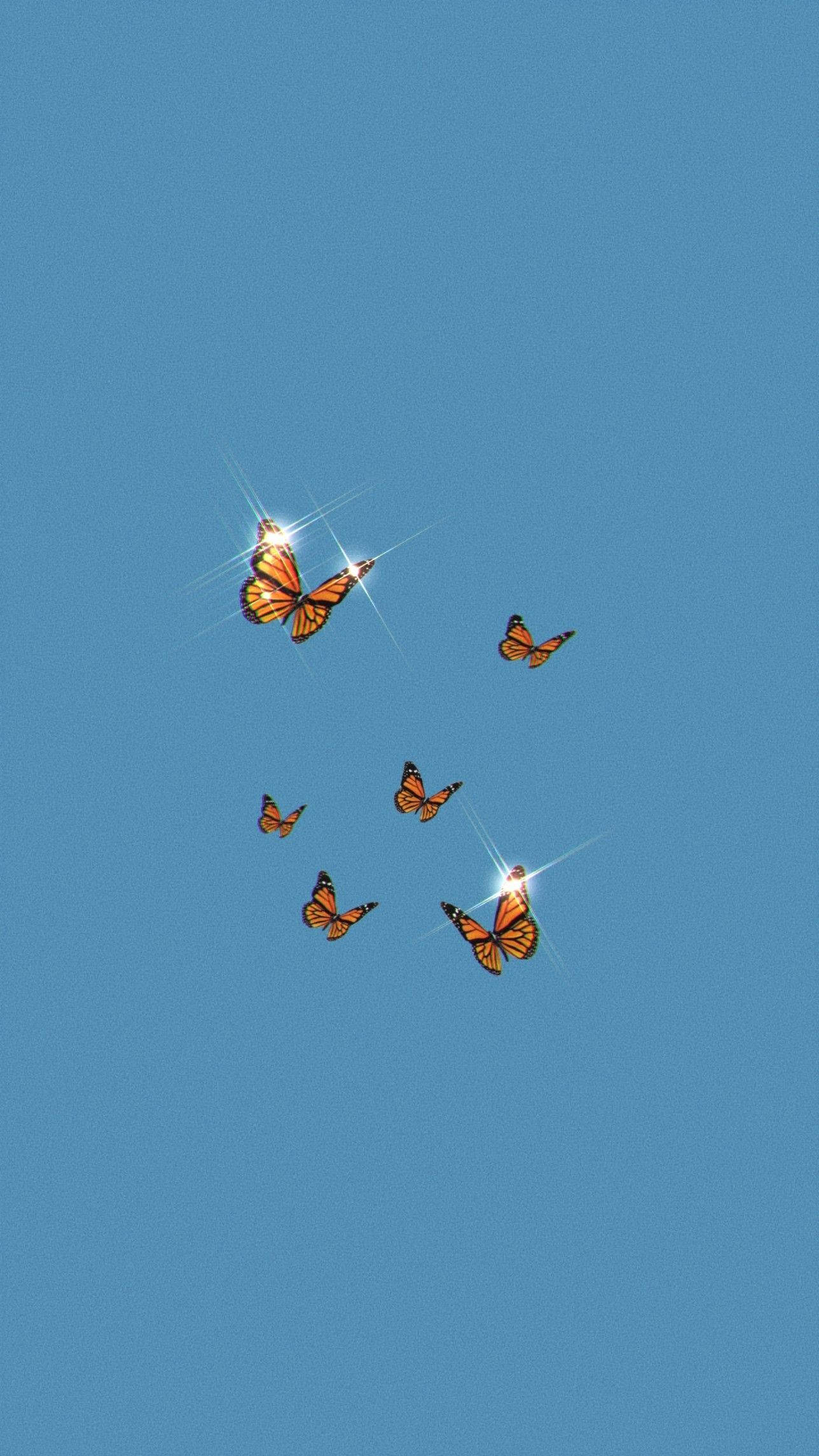 Monarch Skoenlapper Estetika Muurpapier