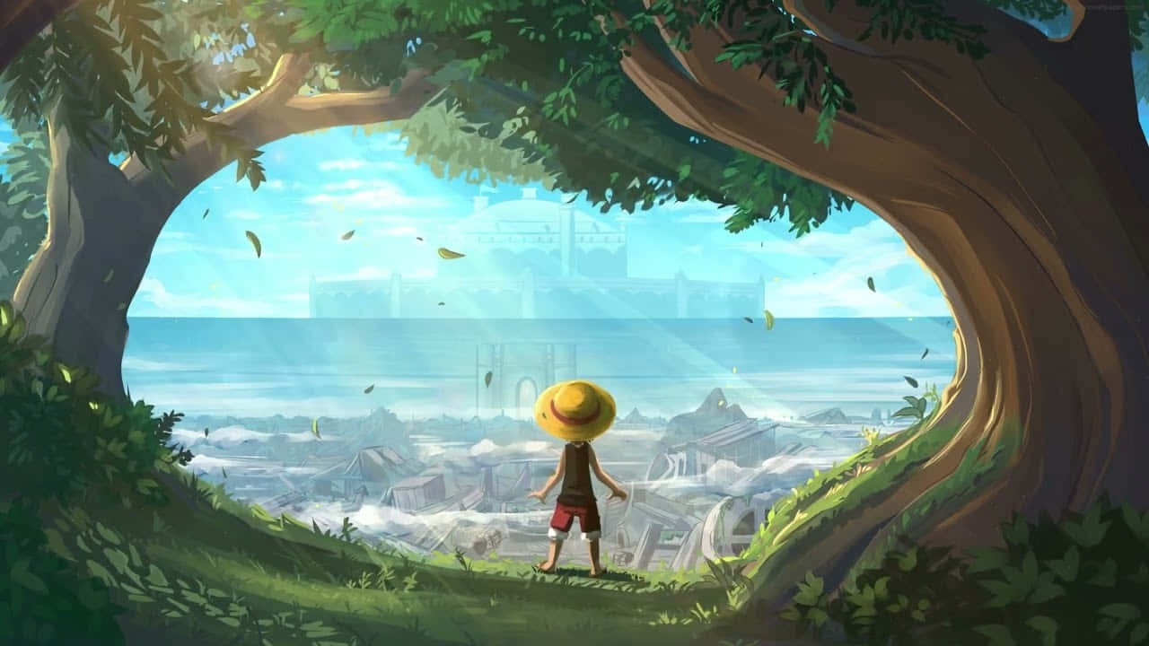 One Piece prente — One piece 4K GIF Muurpapier