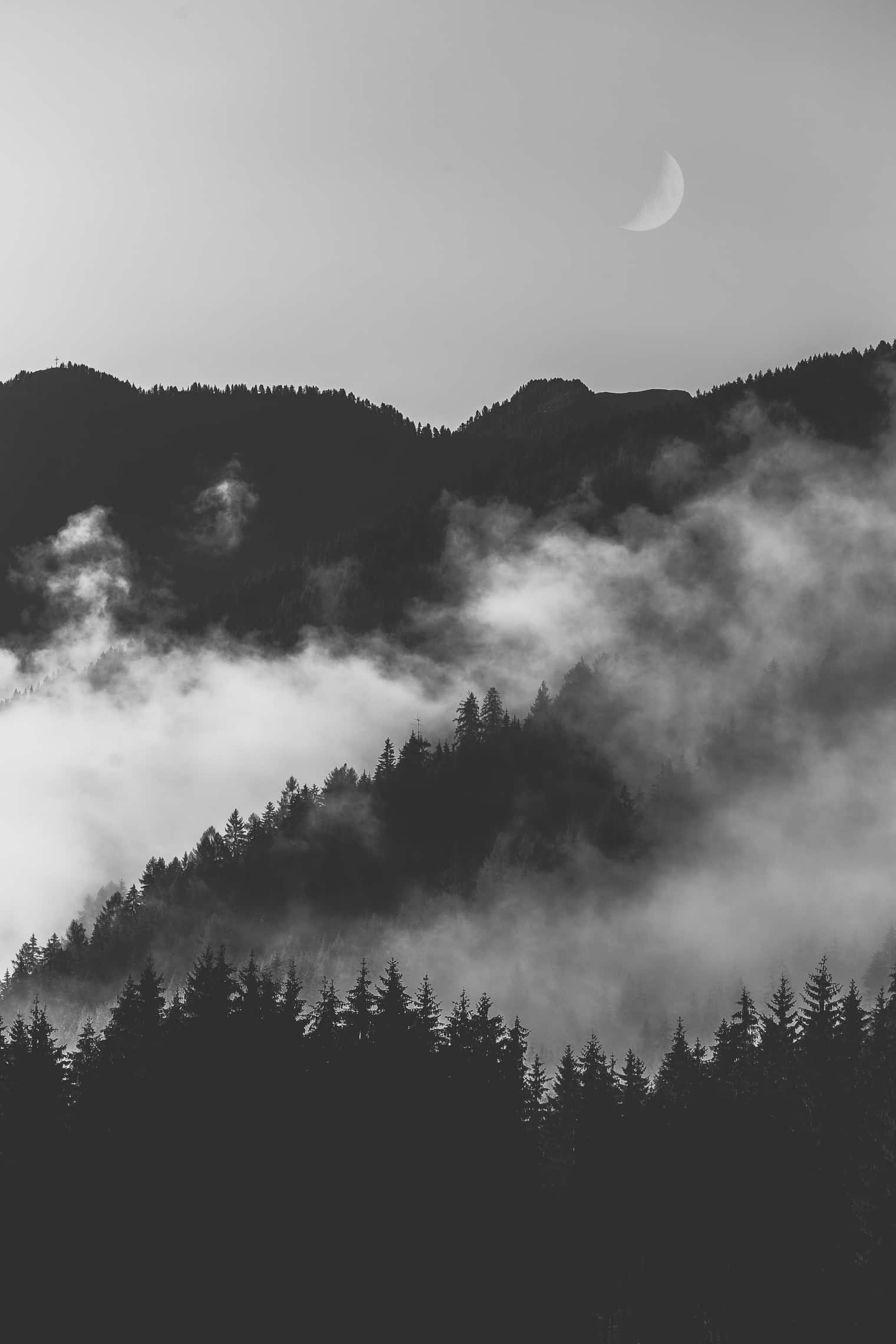 Monochroom Donker En Mistige Bos Muurpapier