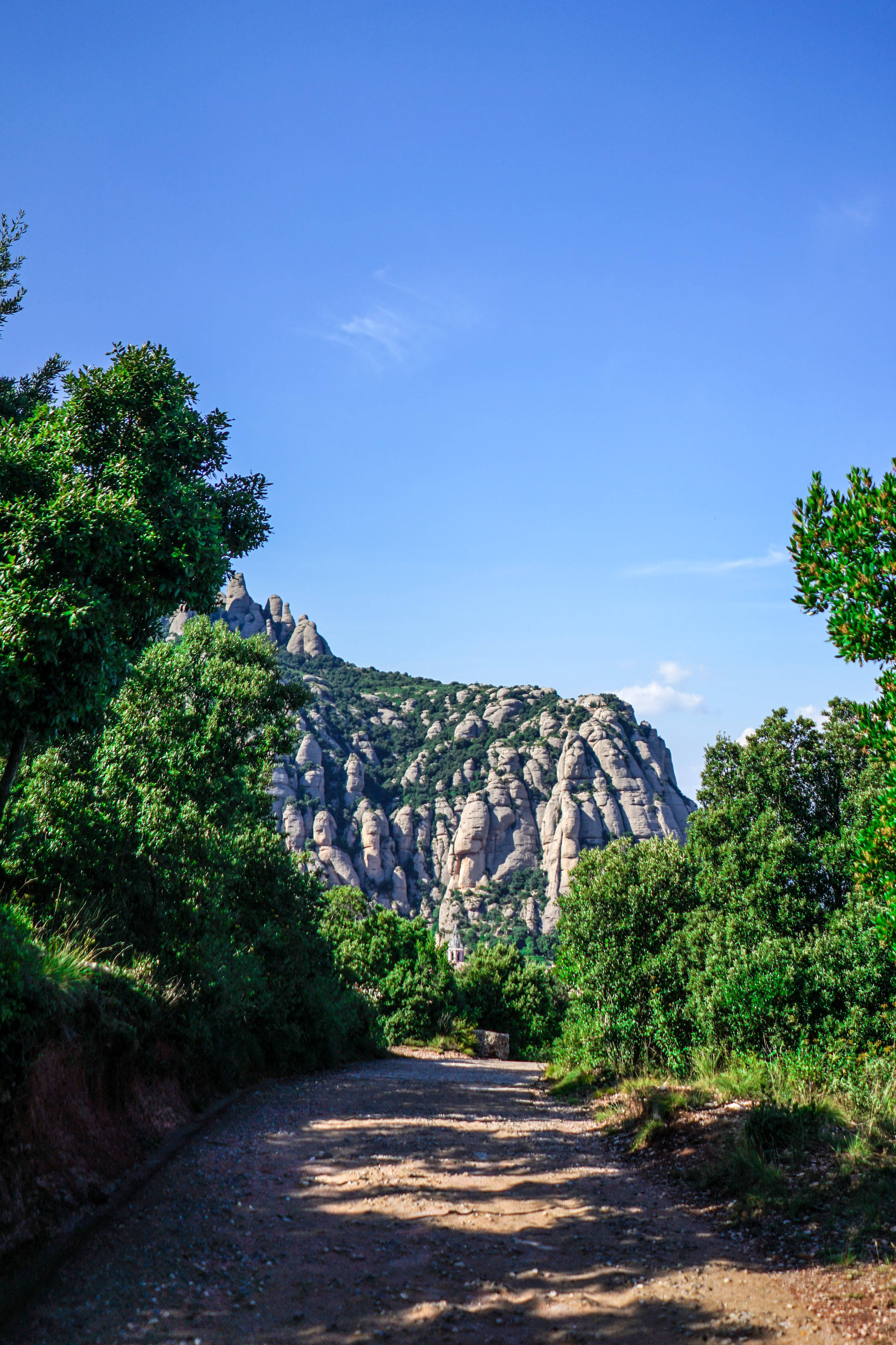 Montserrat-bospaadjie Muurpapier