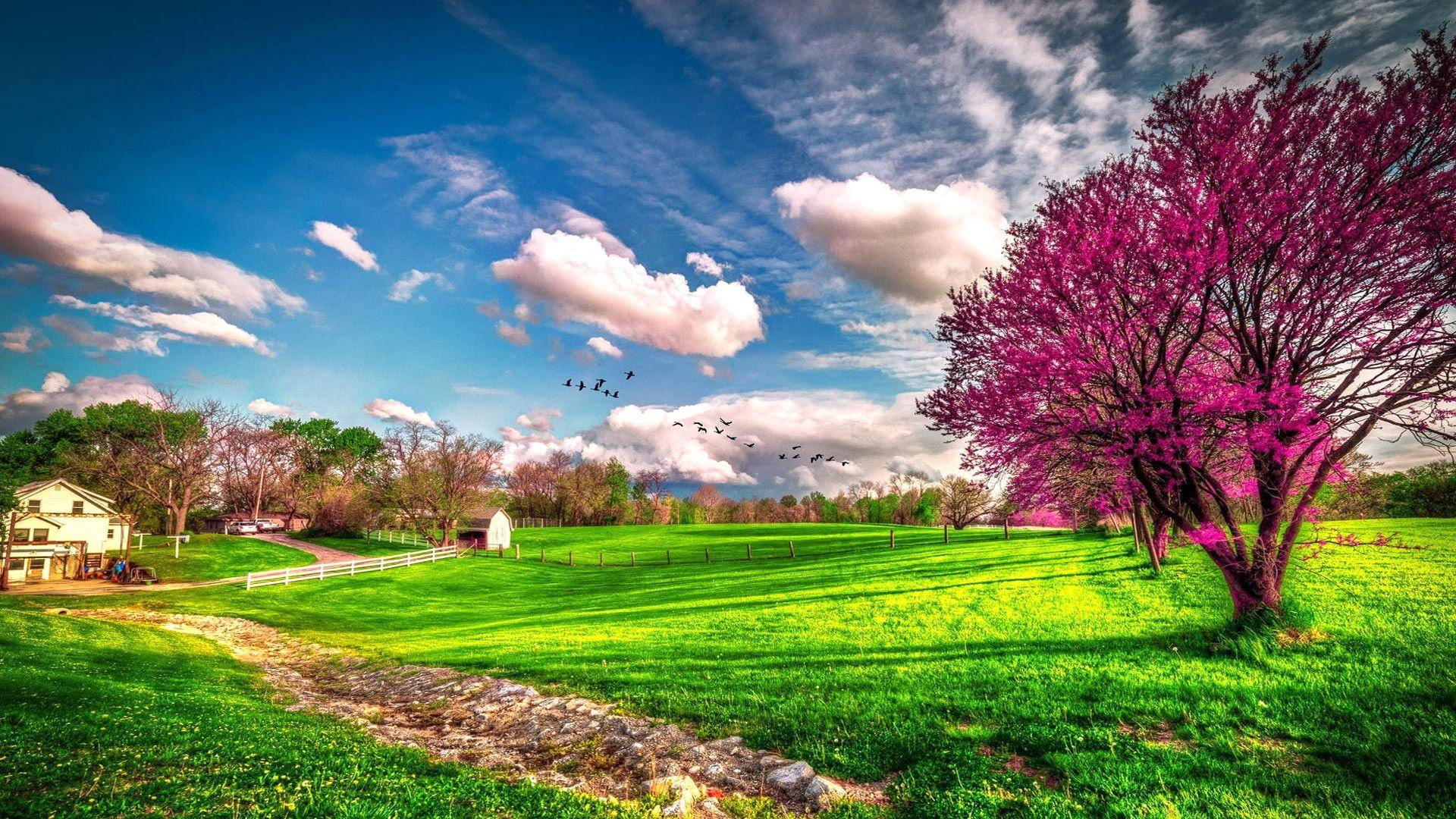 Mooiste Lentelandskap Muurpapier