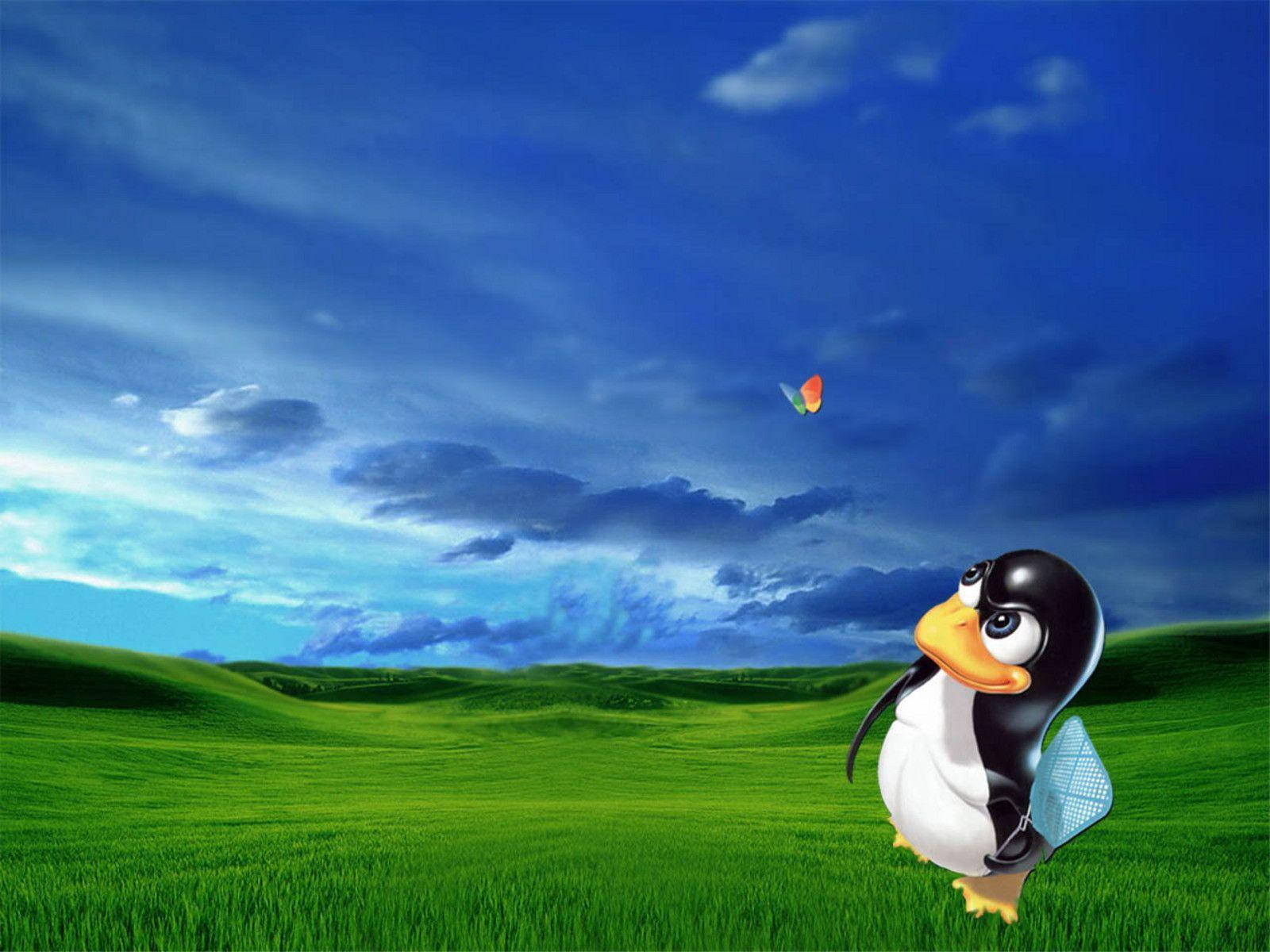 MSN Skoenlapper Met Tux Muurpapier