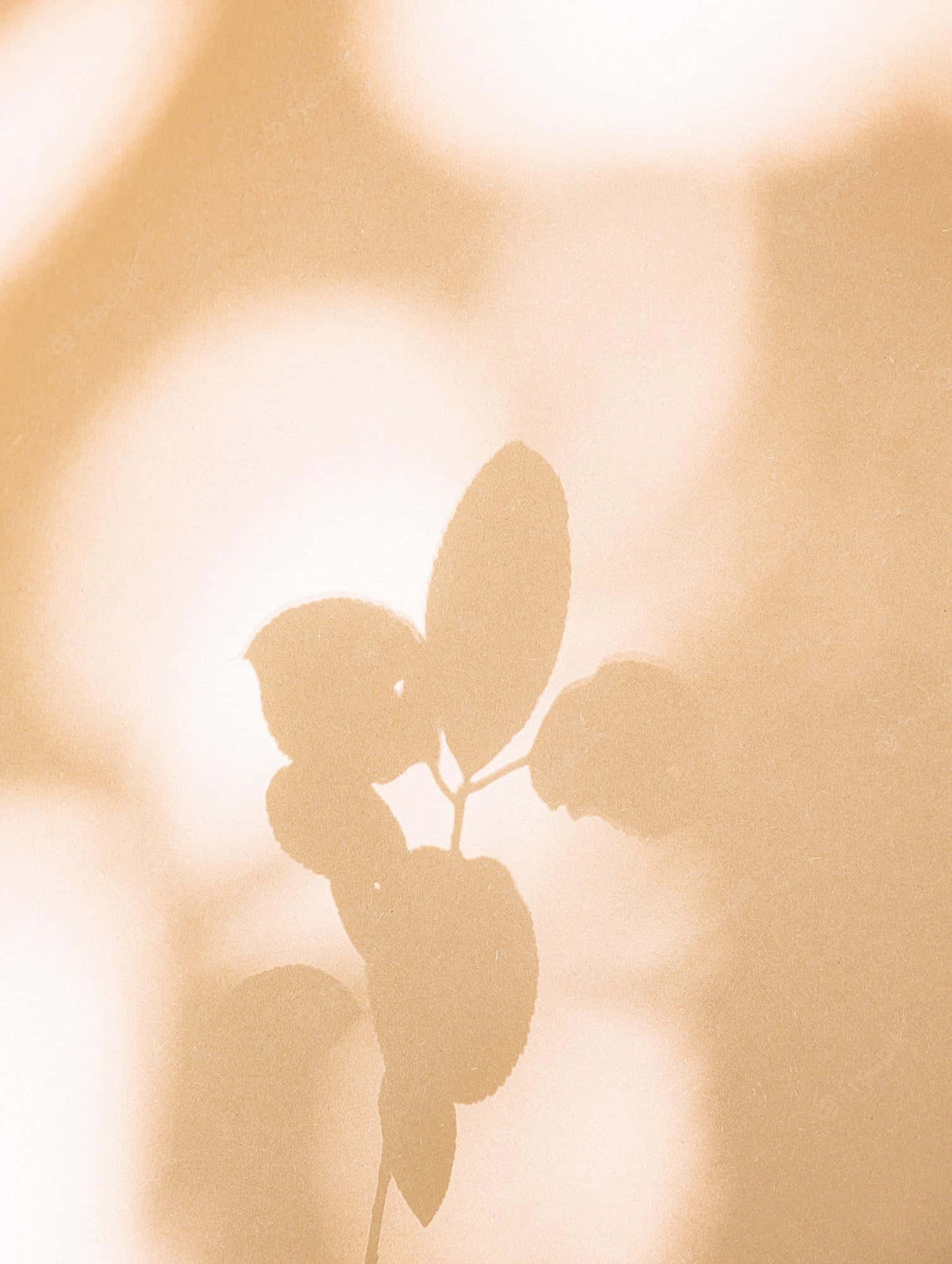'n blaar op 'n plant Muurpapier