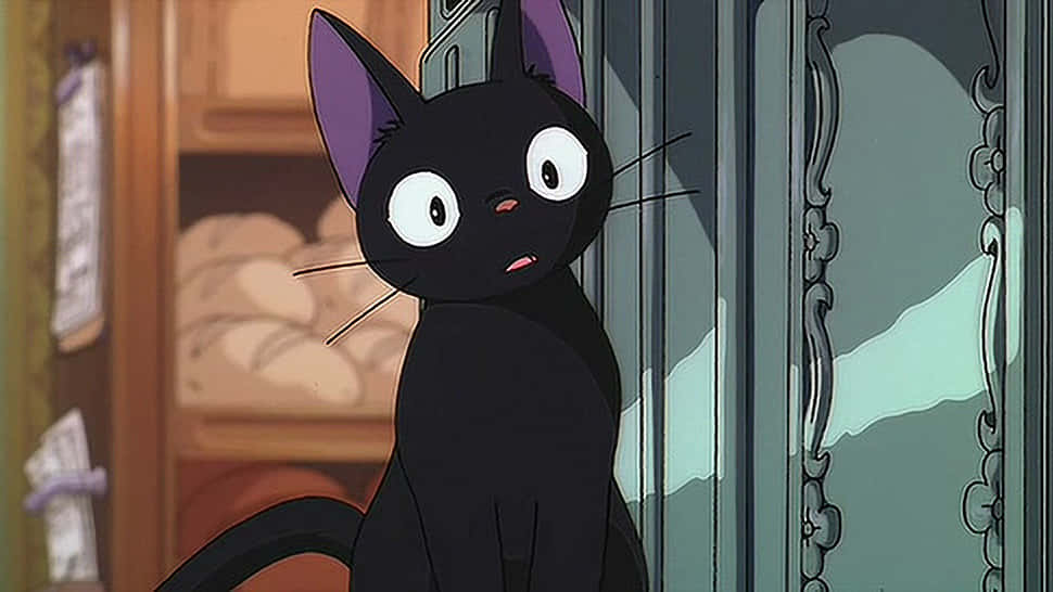 'n Blouoog-animekat wat die sonsondergang geniet Muurpapier