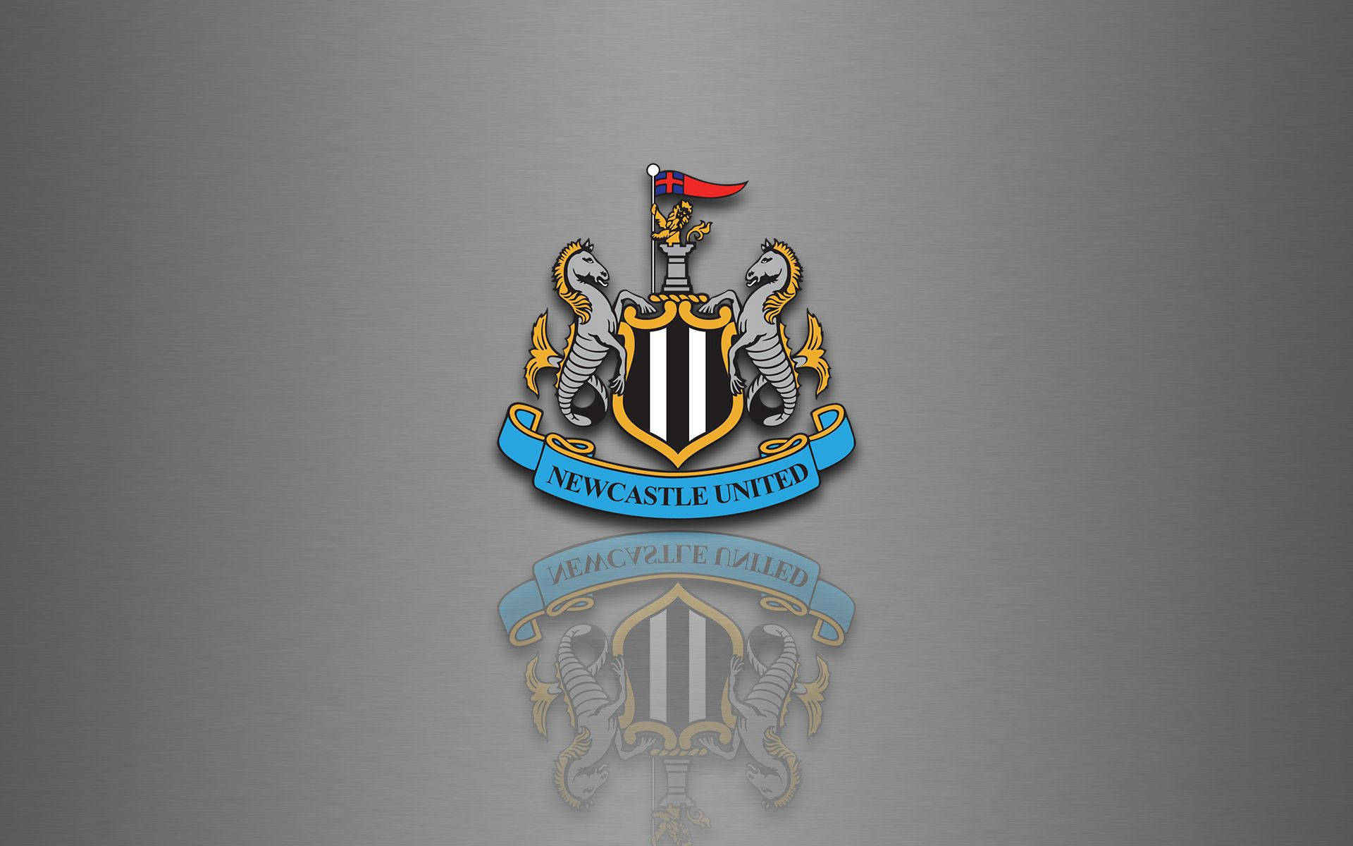 Newcastle United Sokkerklub logo grys lessenaar agtergrond.