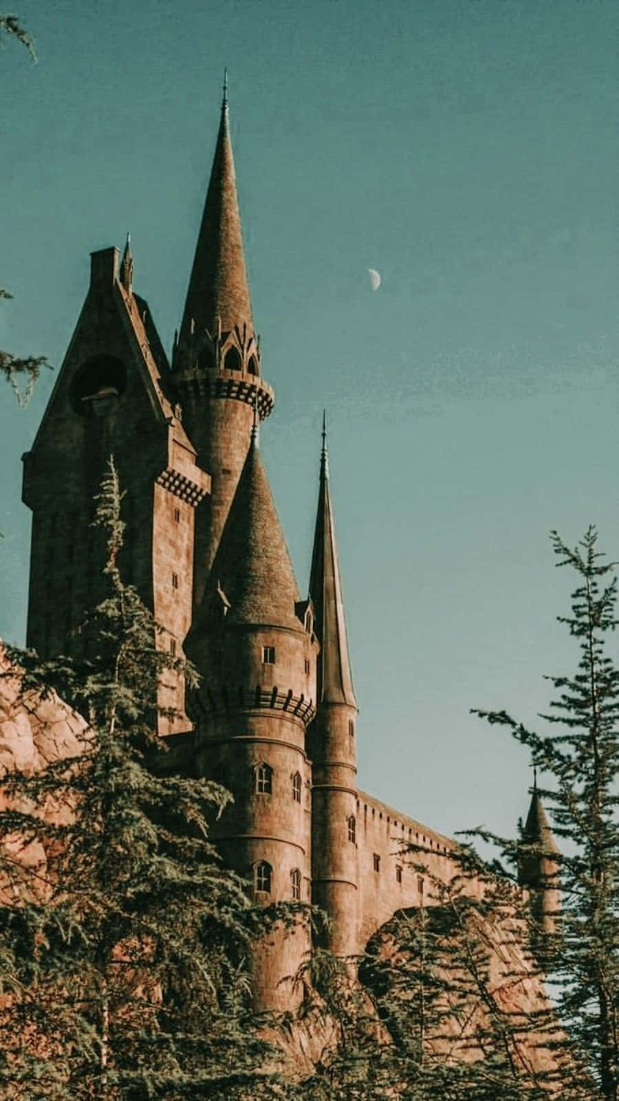 'n Donker en Geheimsinnige Estetiek in die Wêreld van Harry Potter Muurpapier