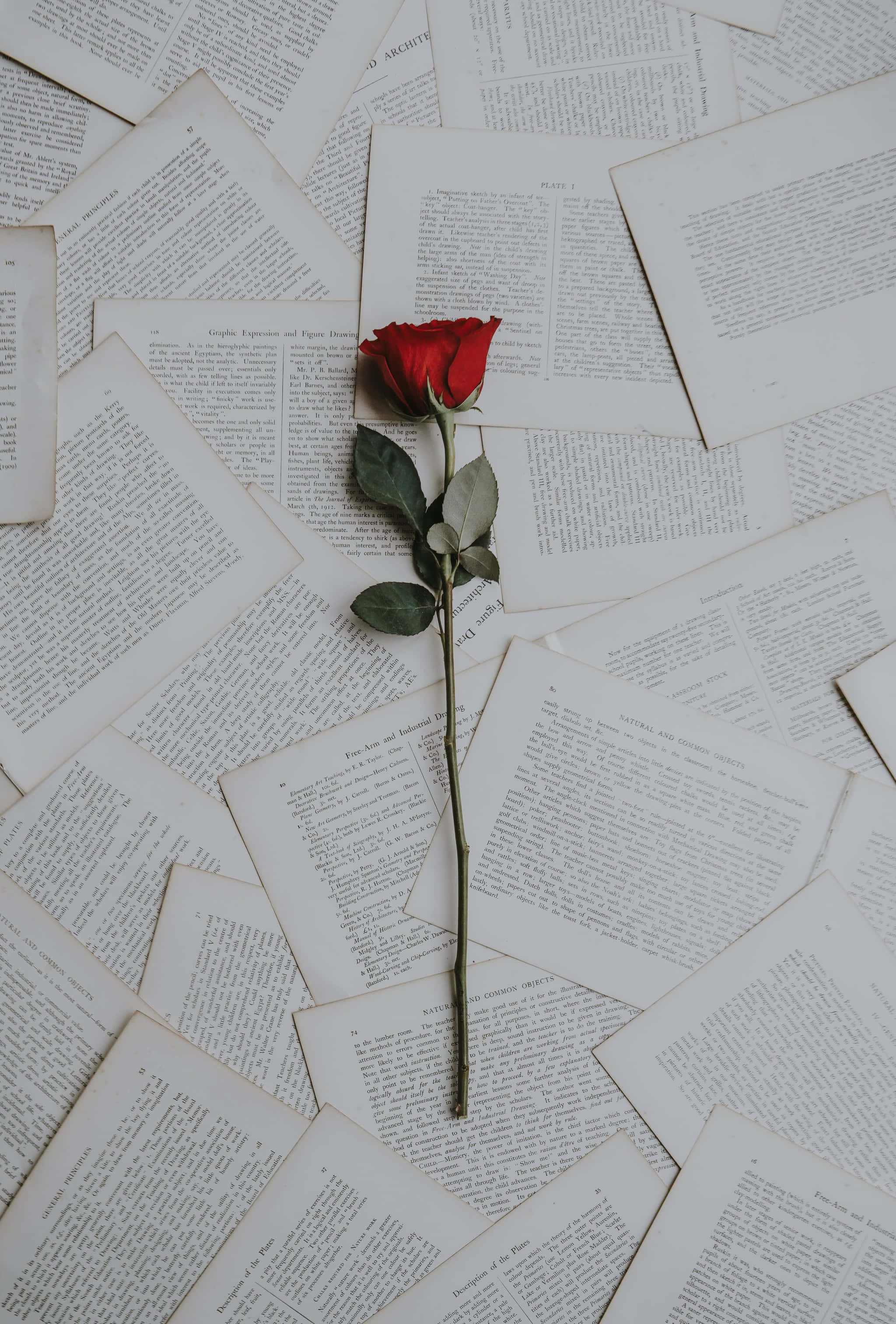 'n enkele rooi roos op 'n stapel boeke Muurpapier
