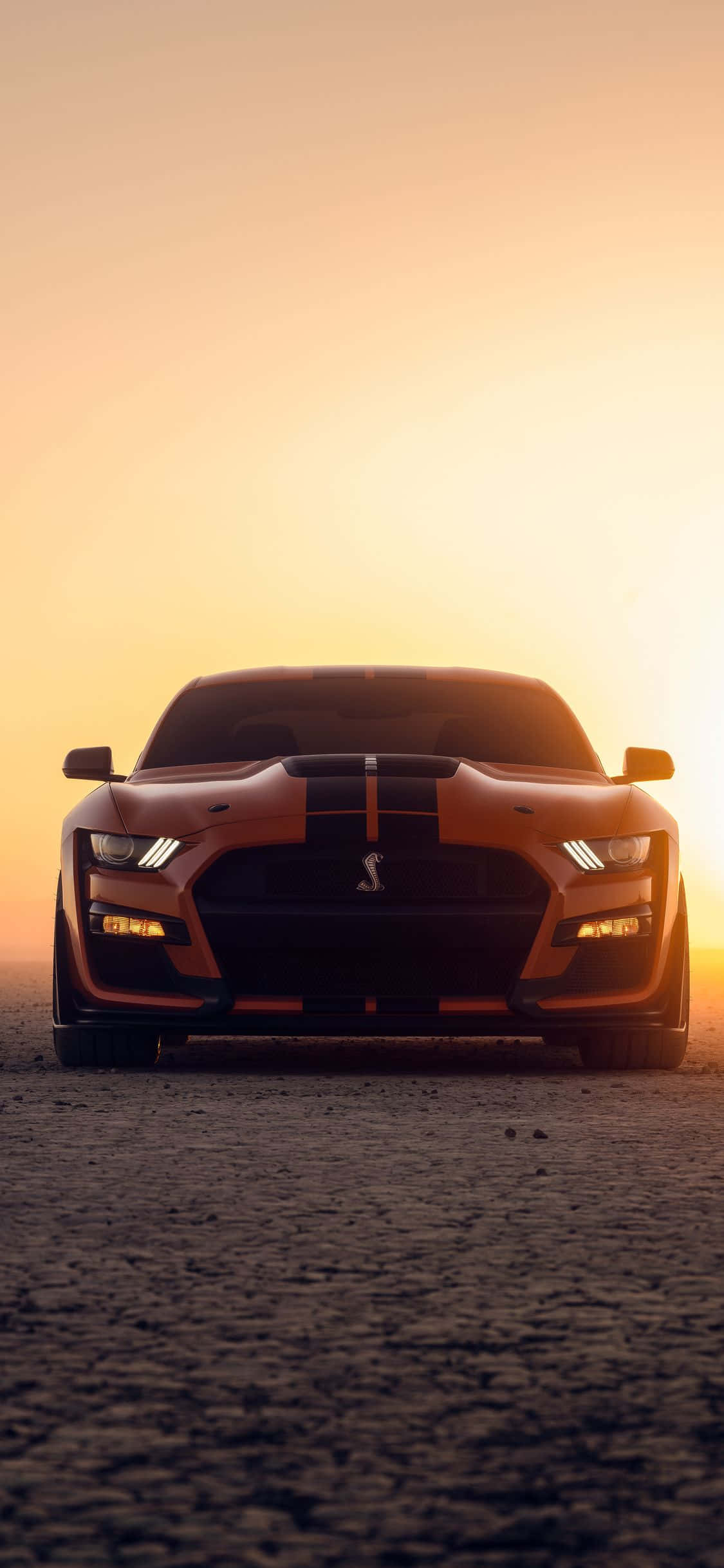 'n Ford Mustang GT wat in die woestyn sit teen sononder Muurpapier