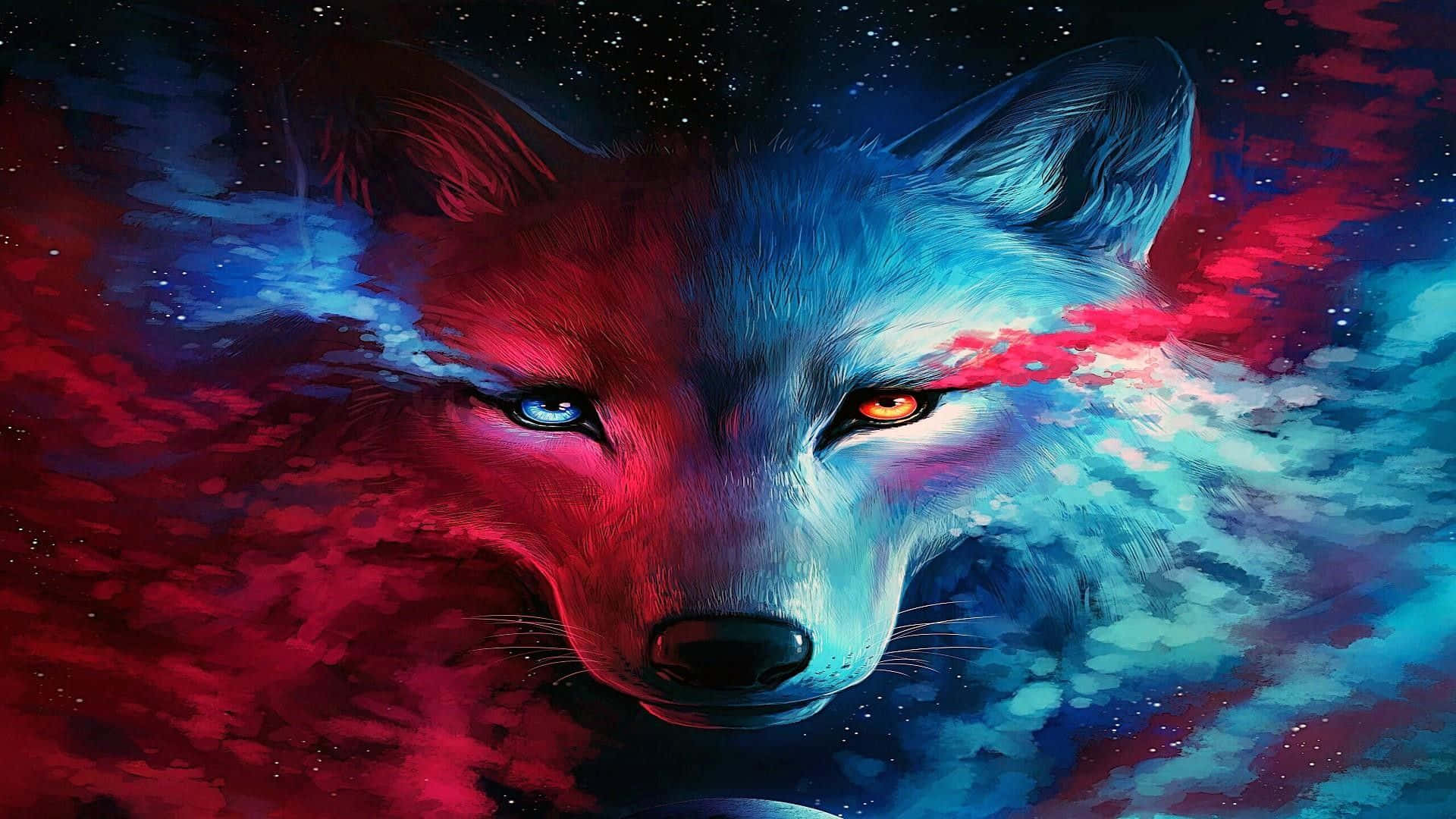 ’n Geheimsinnige koel wolf in ’n rustige nag Muurpapier
