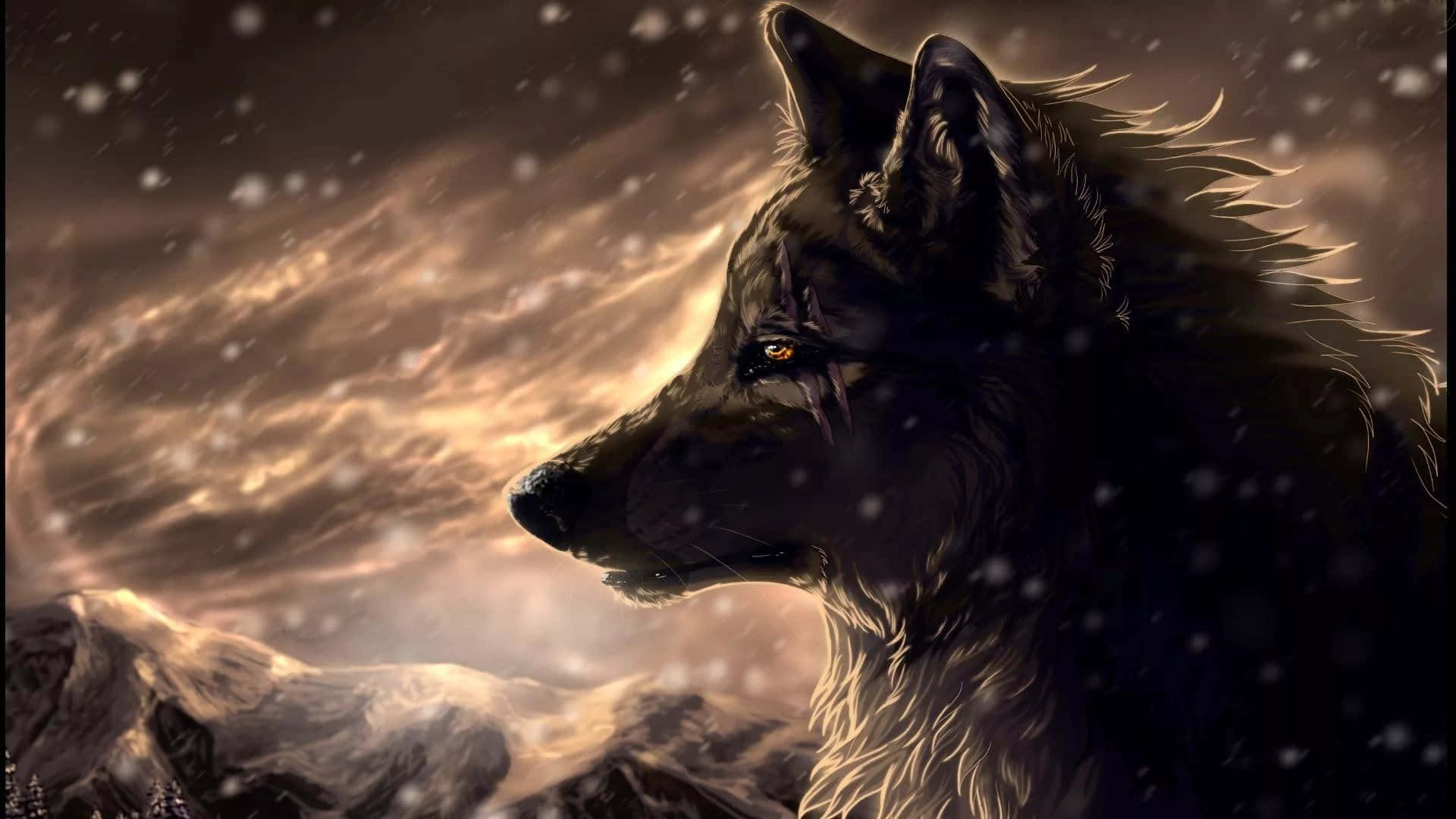 'n Geheimsinnige wolf wat in die nagtelike woude dwaal Muurpapier