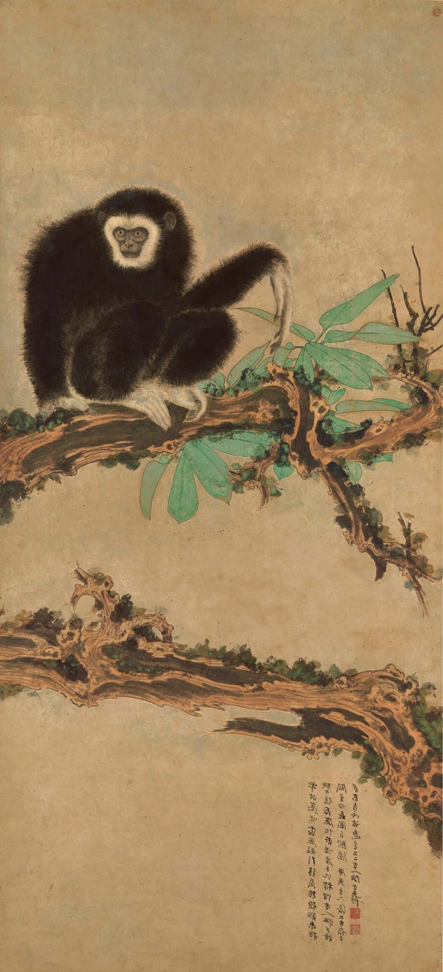 'n Gibbon Sit op 'n Vertakte Android Muurpapier