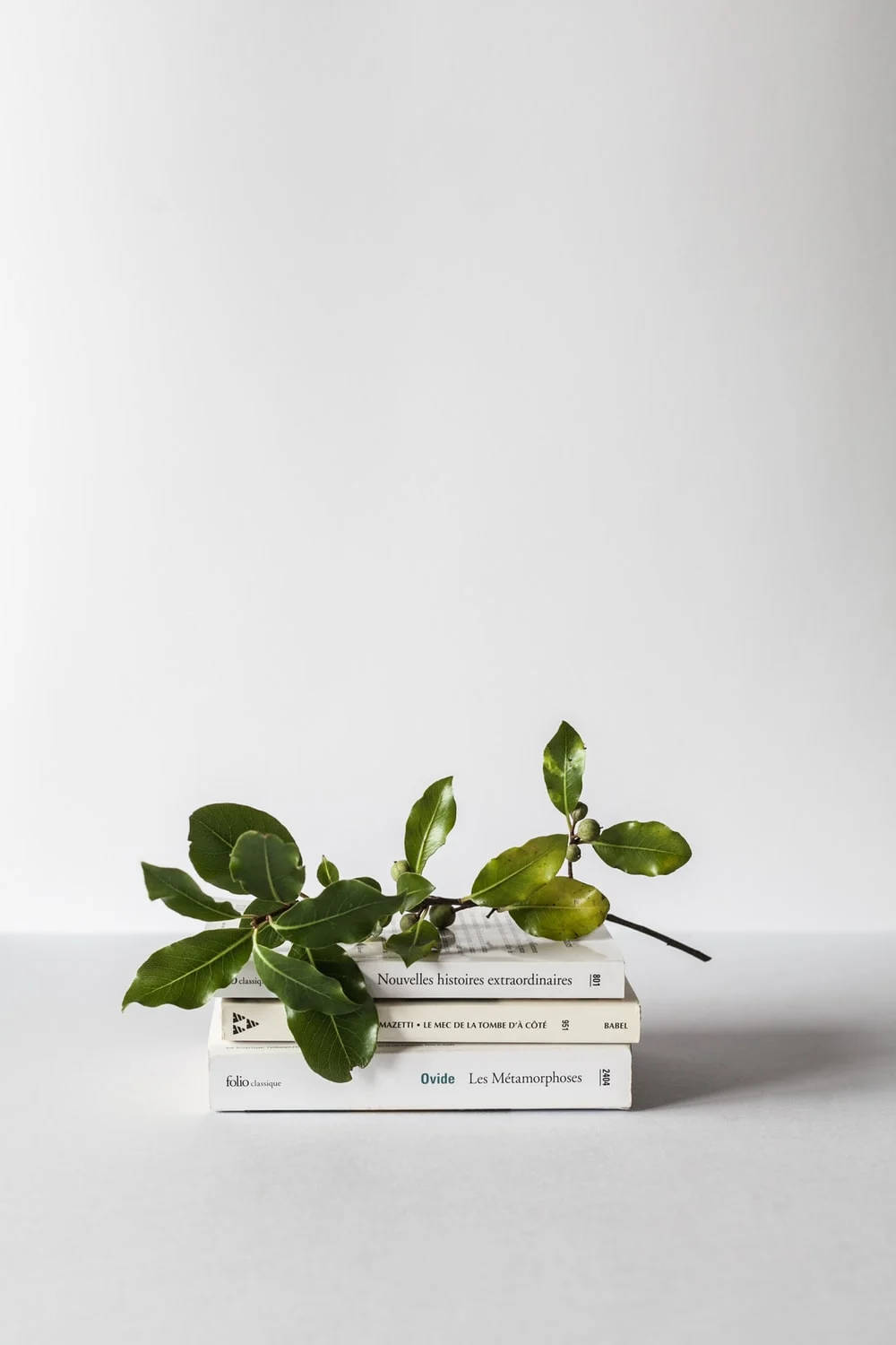 'n Harmoniese Mengsel van Akademiese Rust - Groen en Wit Estetiek met Takke en Boeke Muurpapier