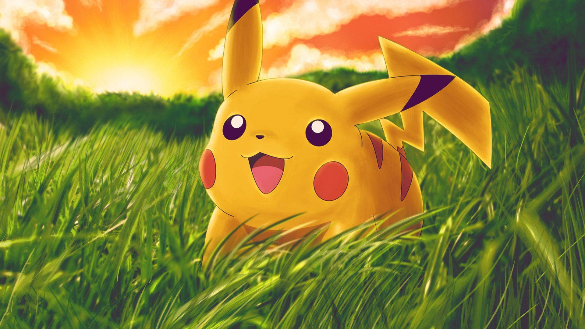 Agtergrond van Pikachu in die veld met sonsondergang agter hom.