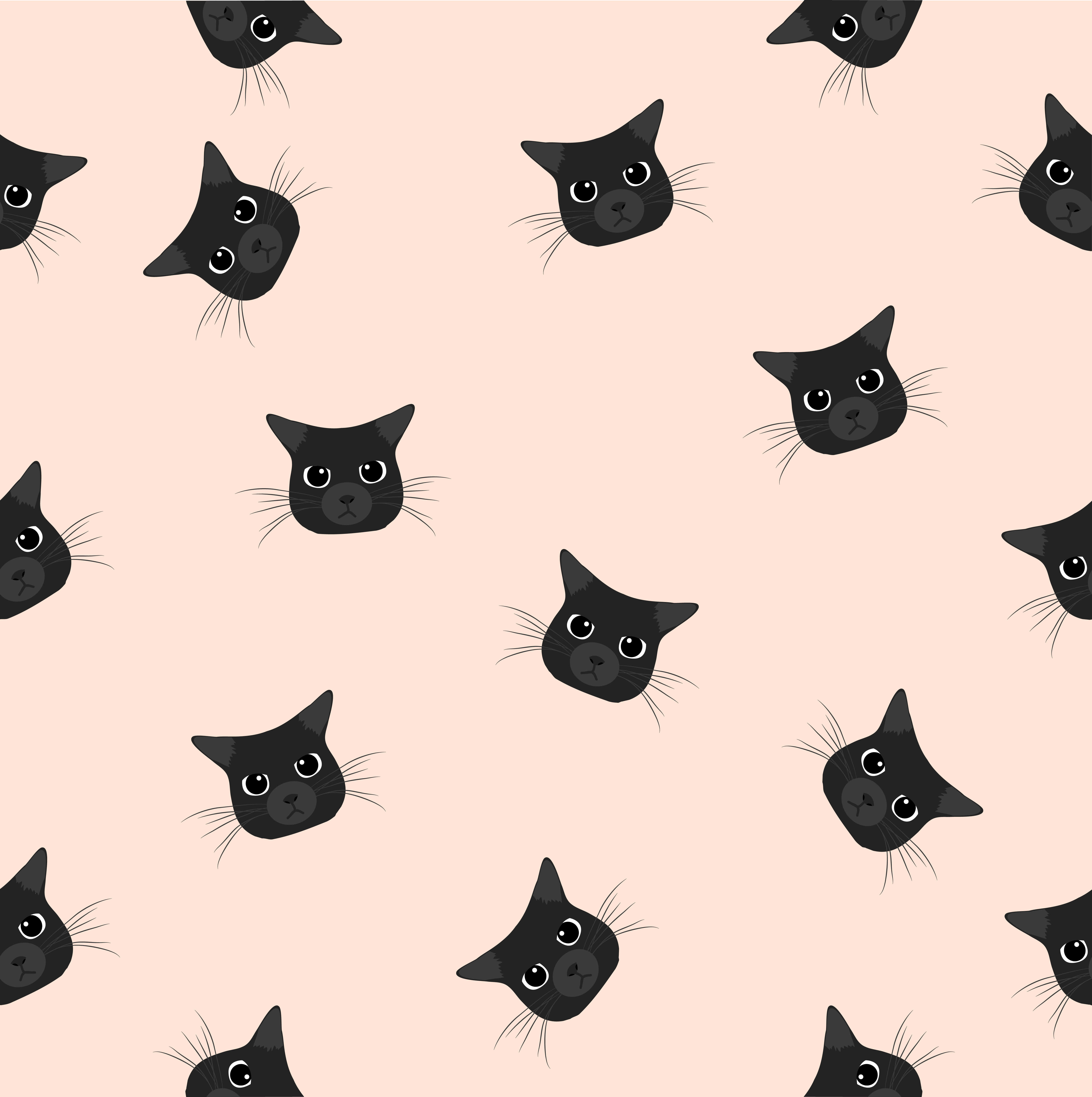 ’n Interessante Swart Kat Ondersoek Sy Omgewing Muurpapier