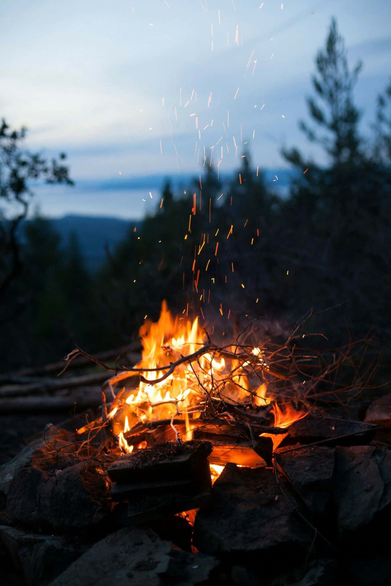 'n kampvuur brand in die bos Muurpapier