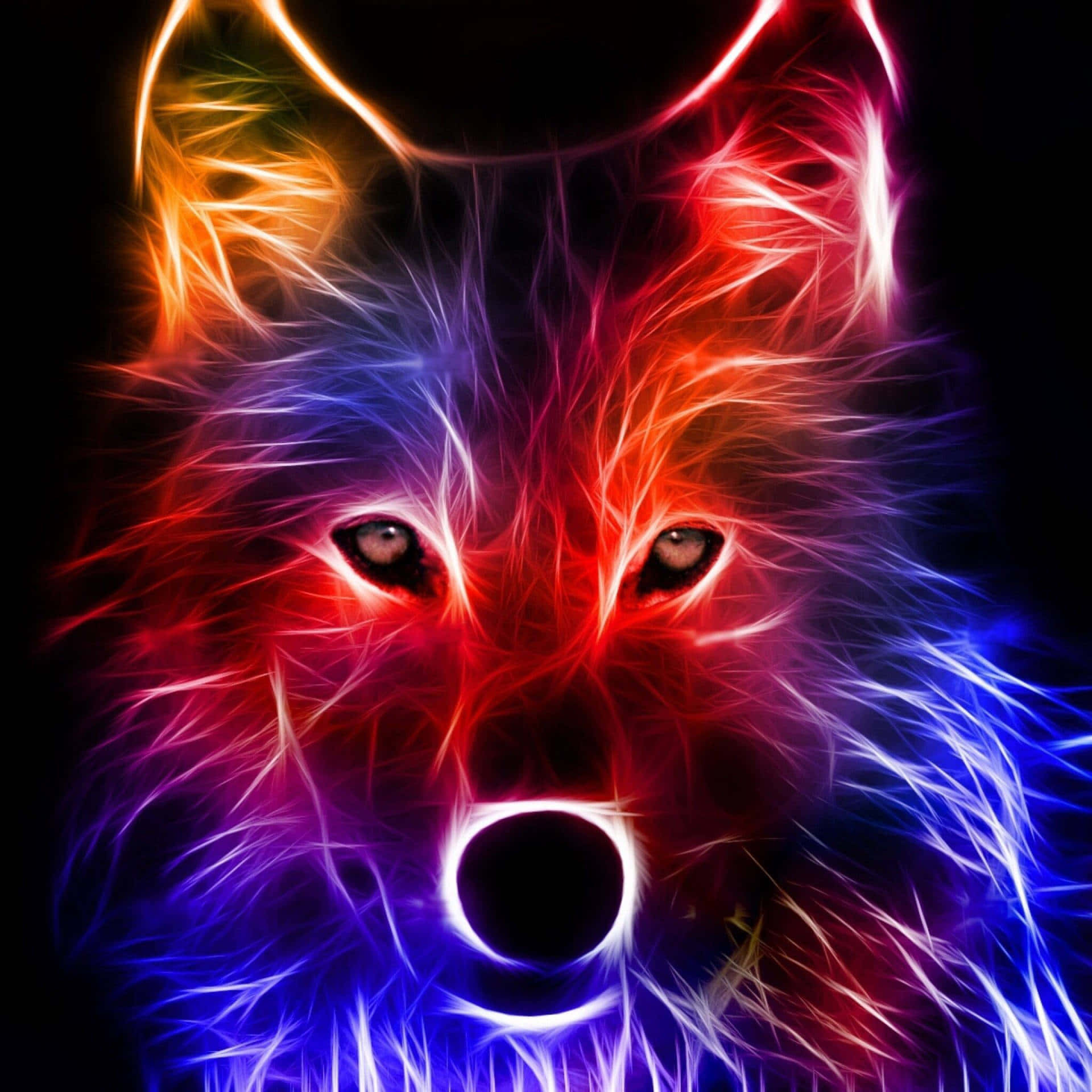 n kleurvolle wolfkop met n blou en rooi agtergrond Muurpapier