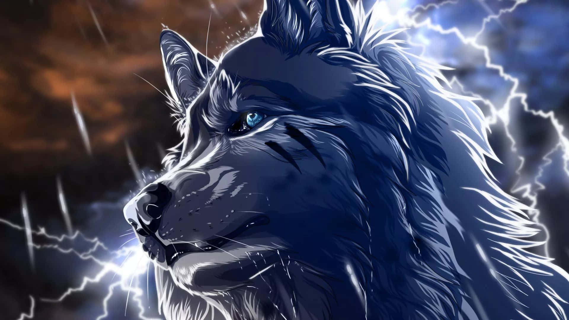 'n Koel wolf kyk selfversekerd uit in die nag Muurpapier