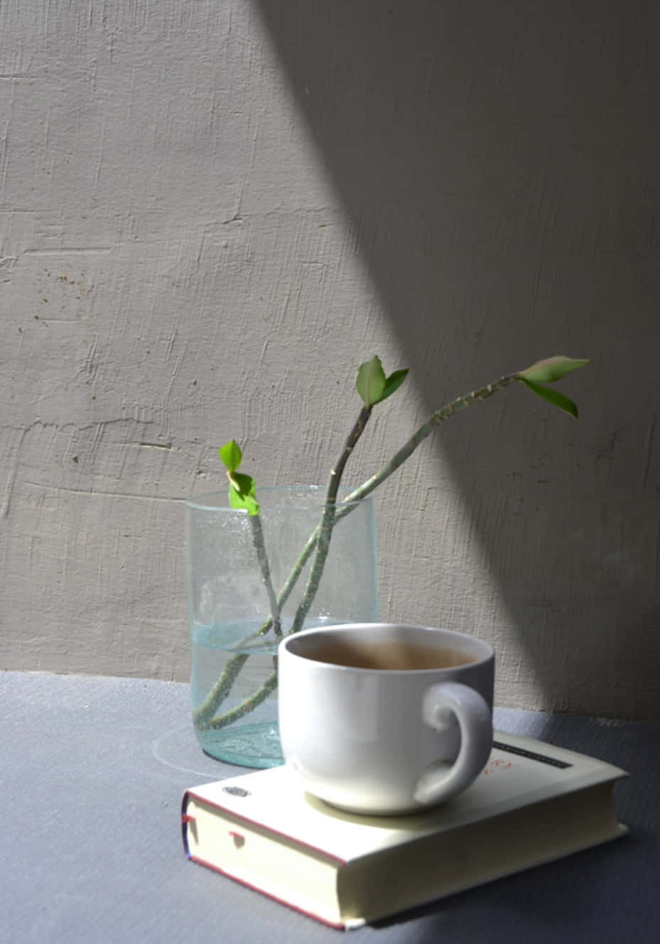 'n koppie koffie en 'n boek op 'n tafel Muurpapier