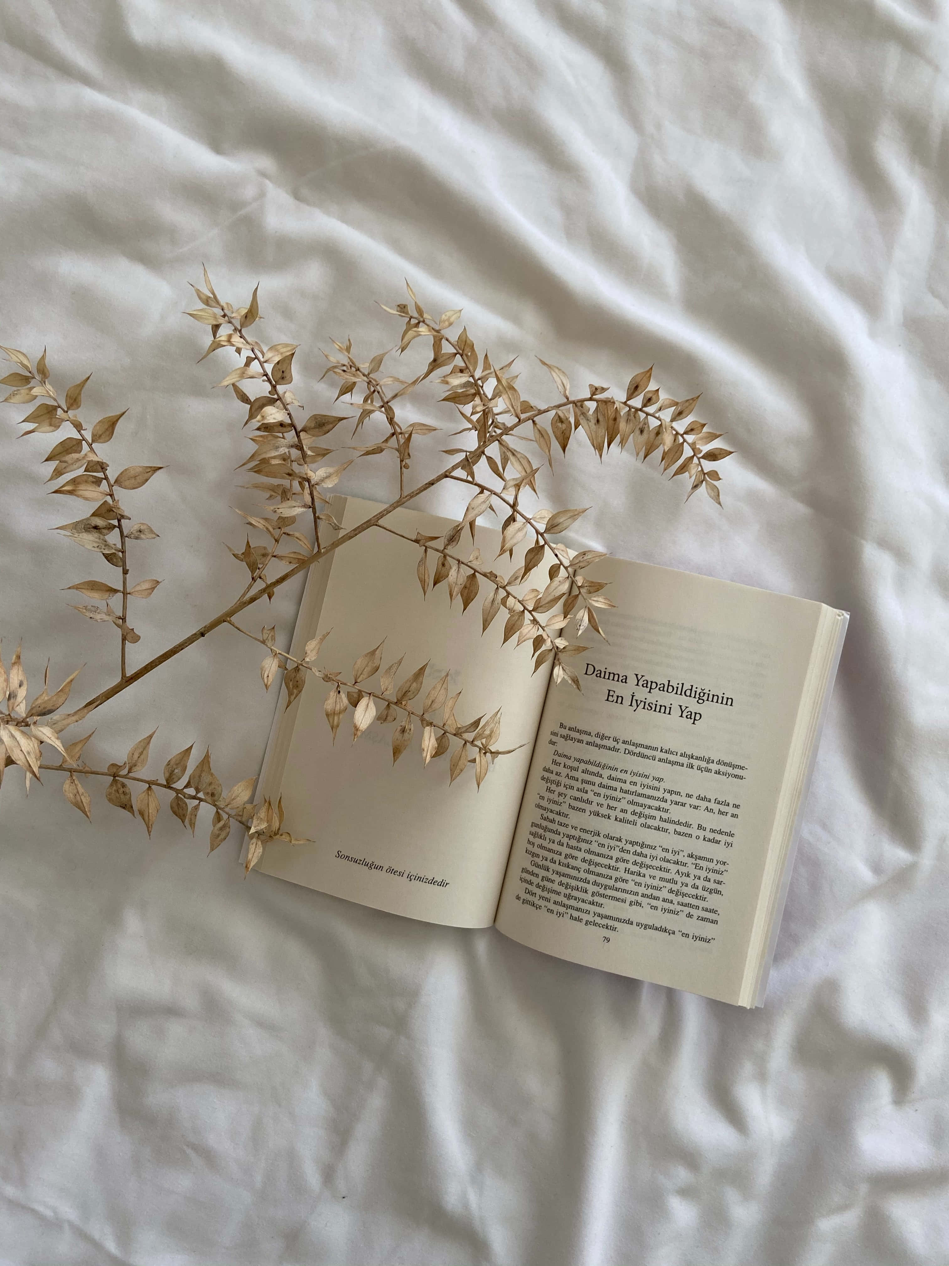 'n Koppie koffie en 'n oop boek, op 'n perfekte dag om nuwe kennis in te samel. Muurpapier