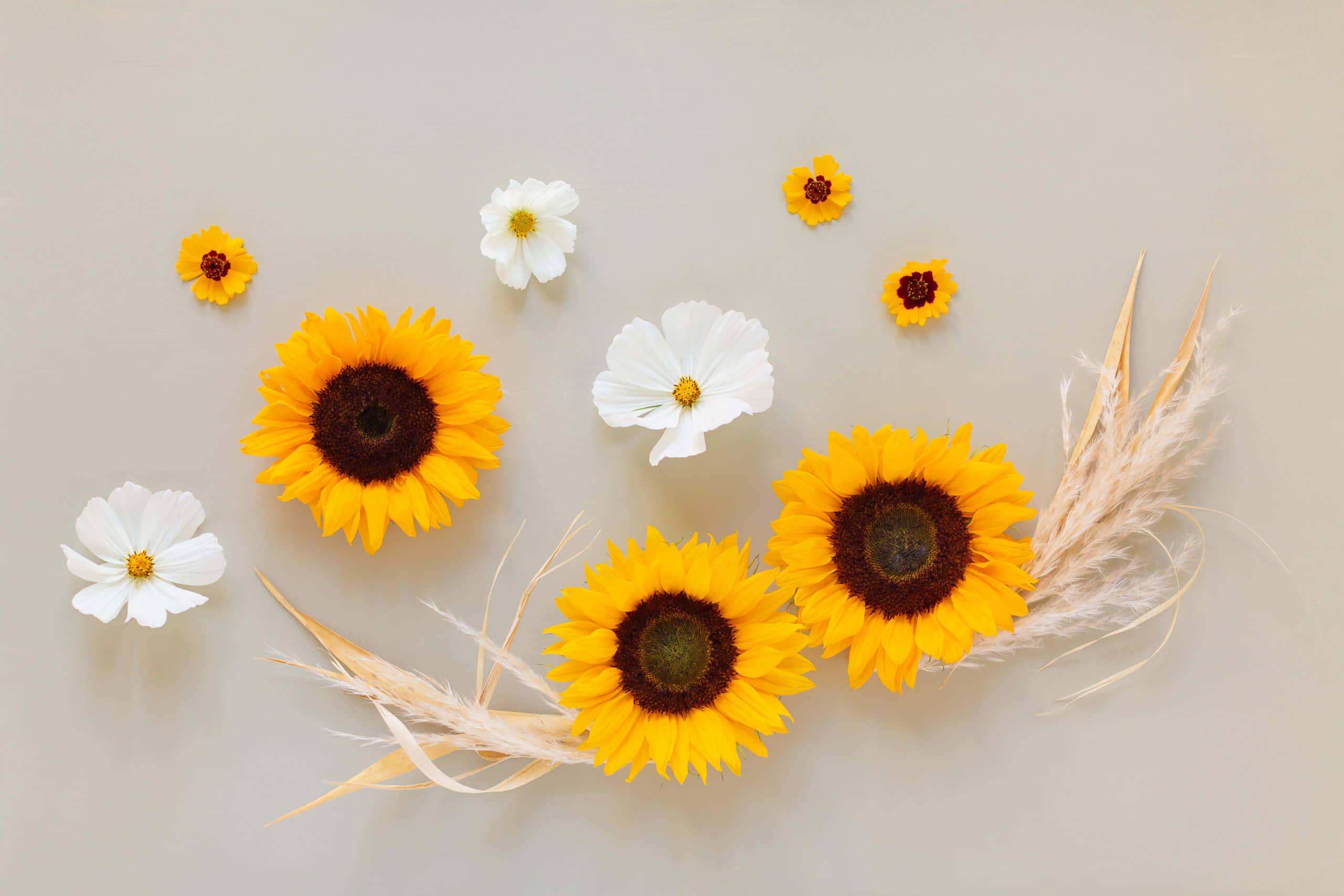 'n Lewendige vertoning van pragtige blomme Muurpapier