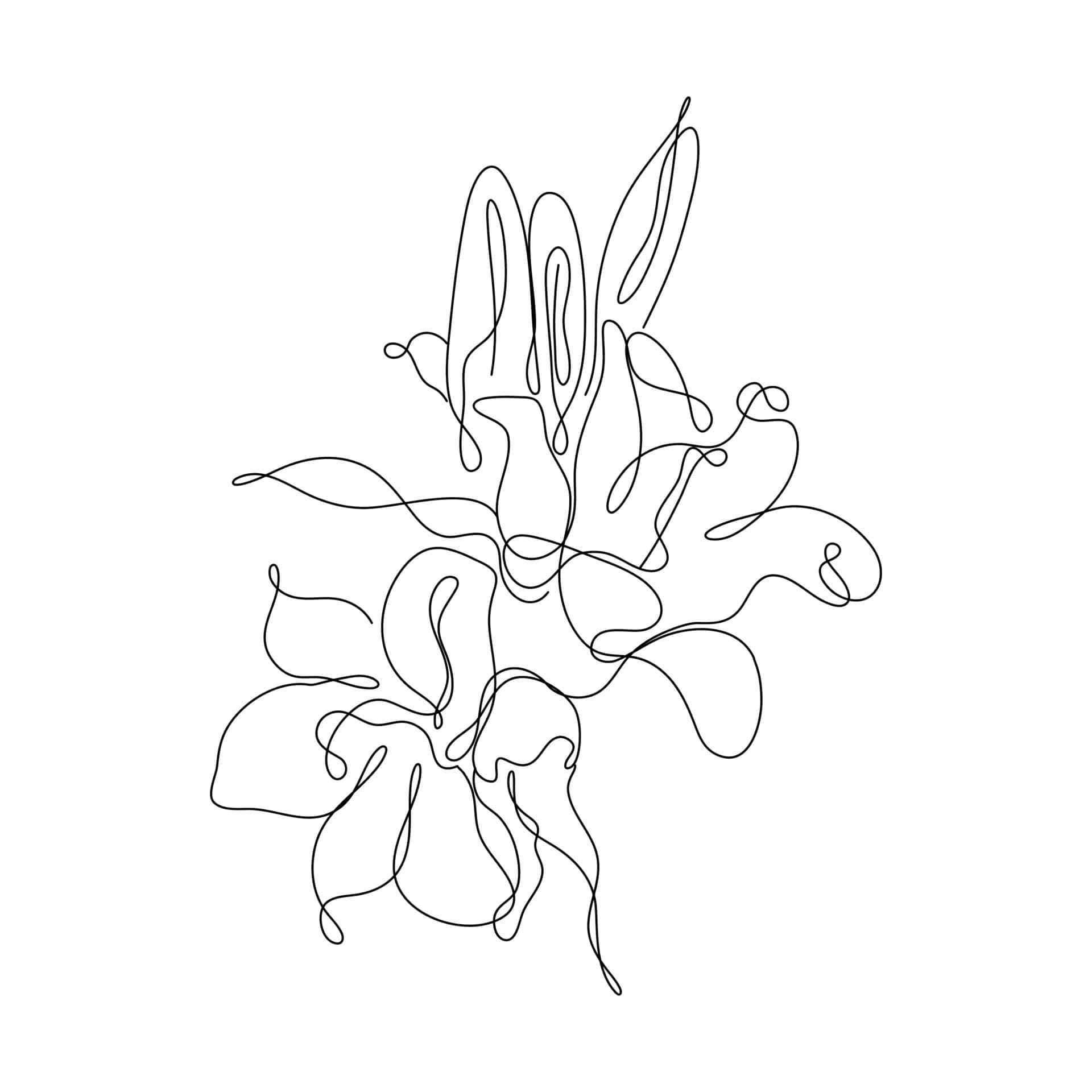 n lyn tekening van 'n blom Muurpapier
