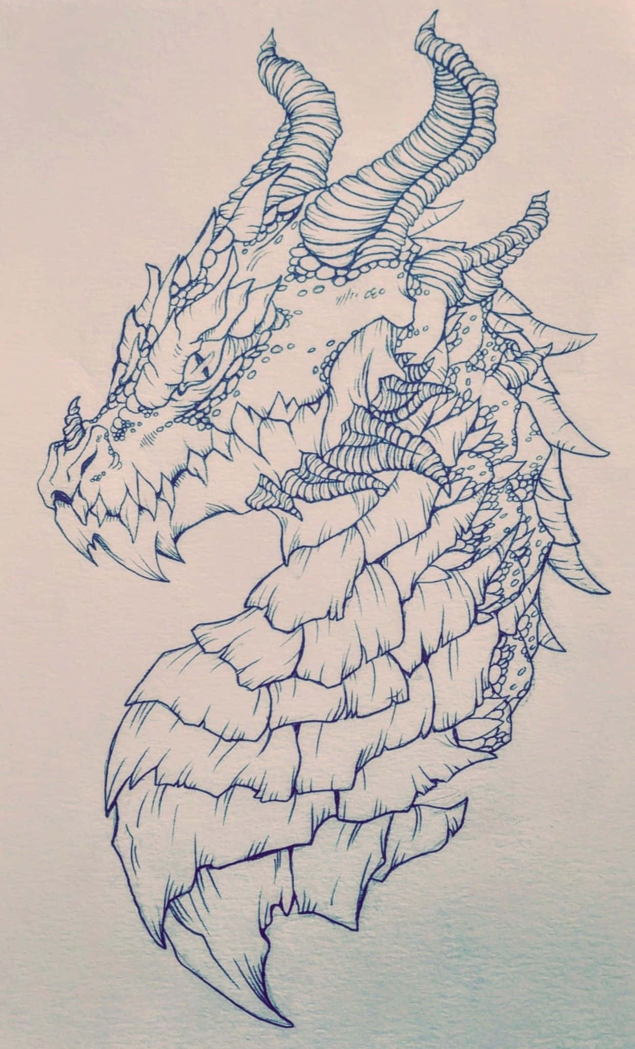 'n Majestueuse draakprofiel. Muurpapier