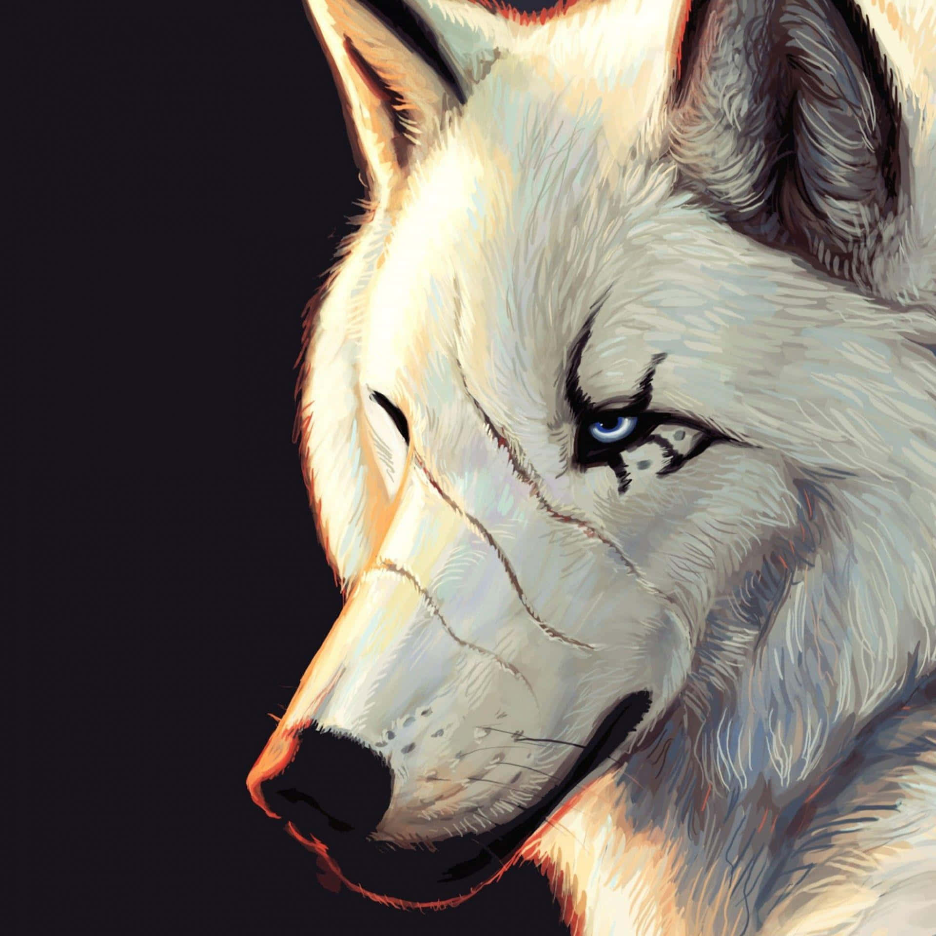 'n Majestueuse Wolf wat deur die Sneeuw Stap Muurpapier