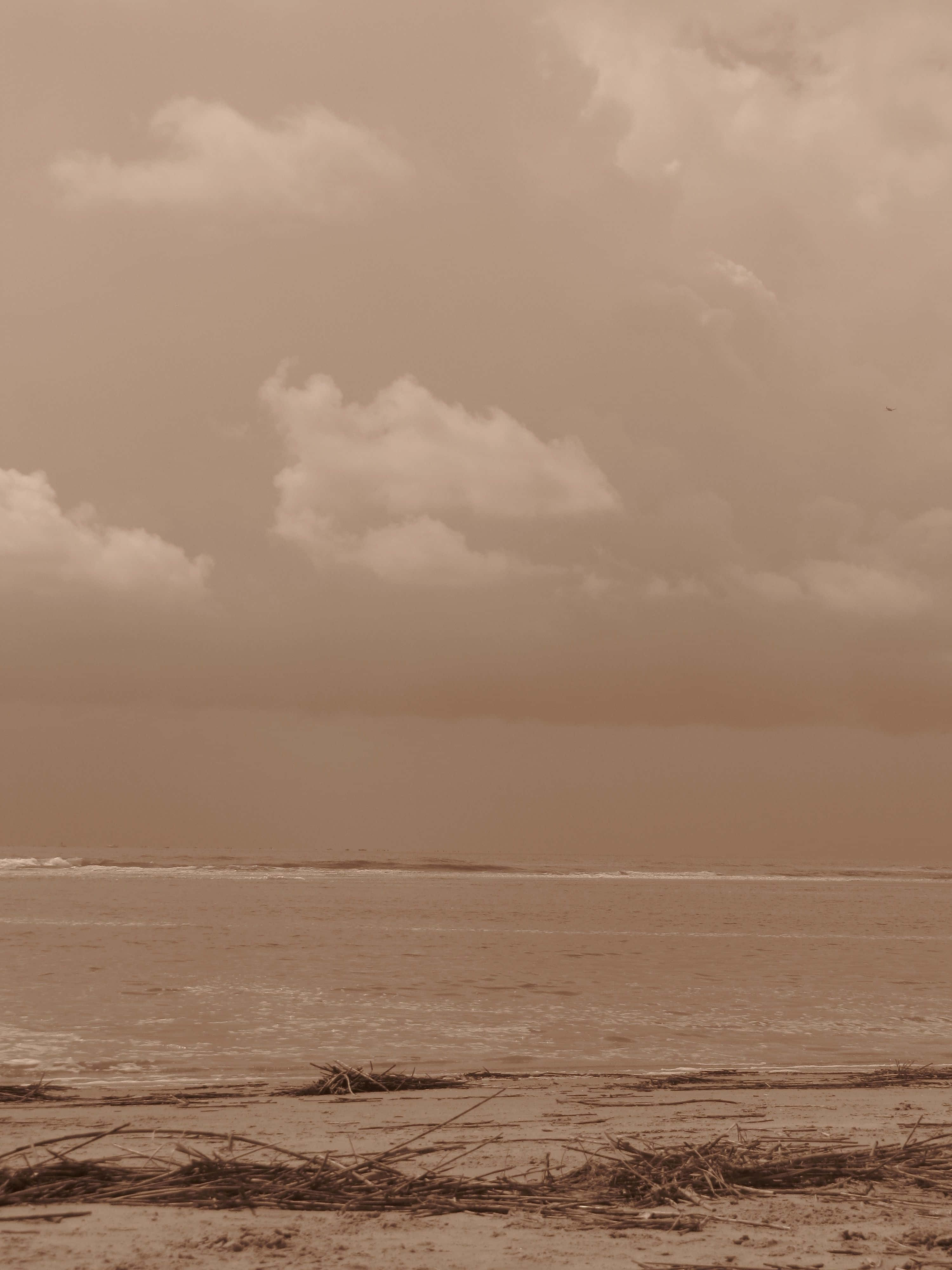 'n man ry op 'n branderplank op die strand Muurpapier