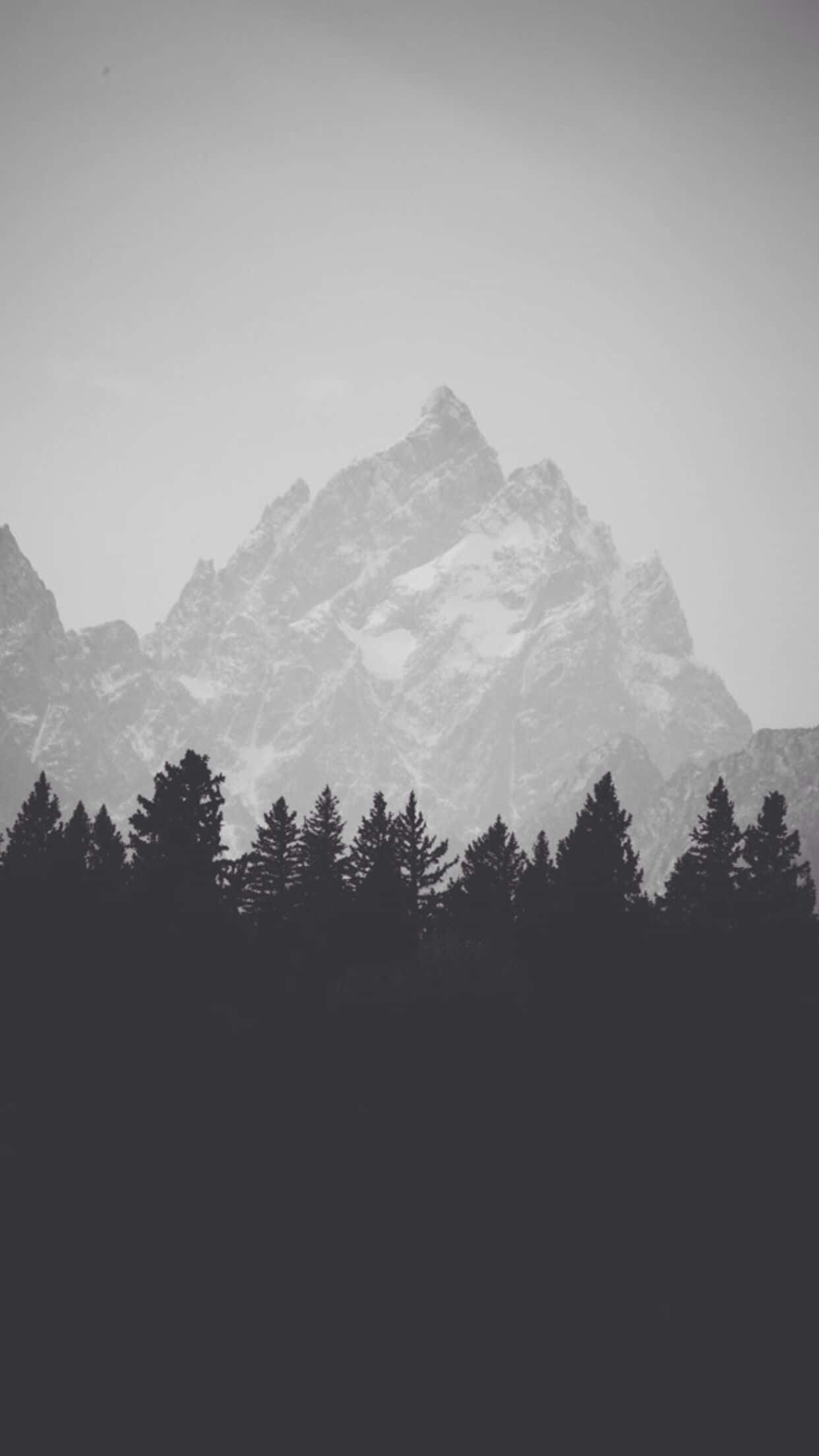 'n Nabybeeld van die iPhone 7 Plus. Muurpapier