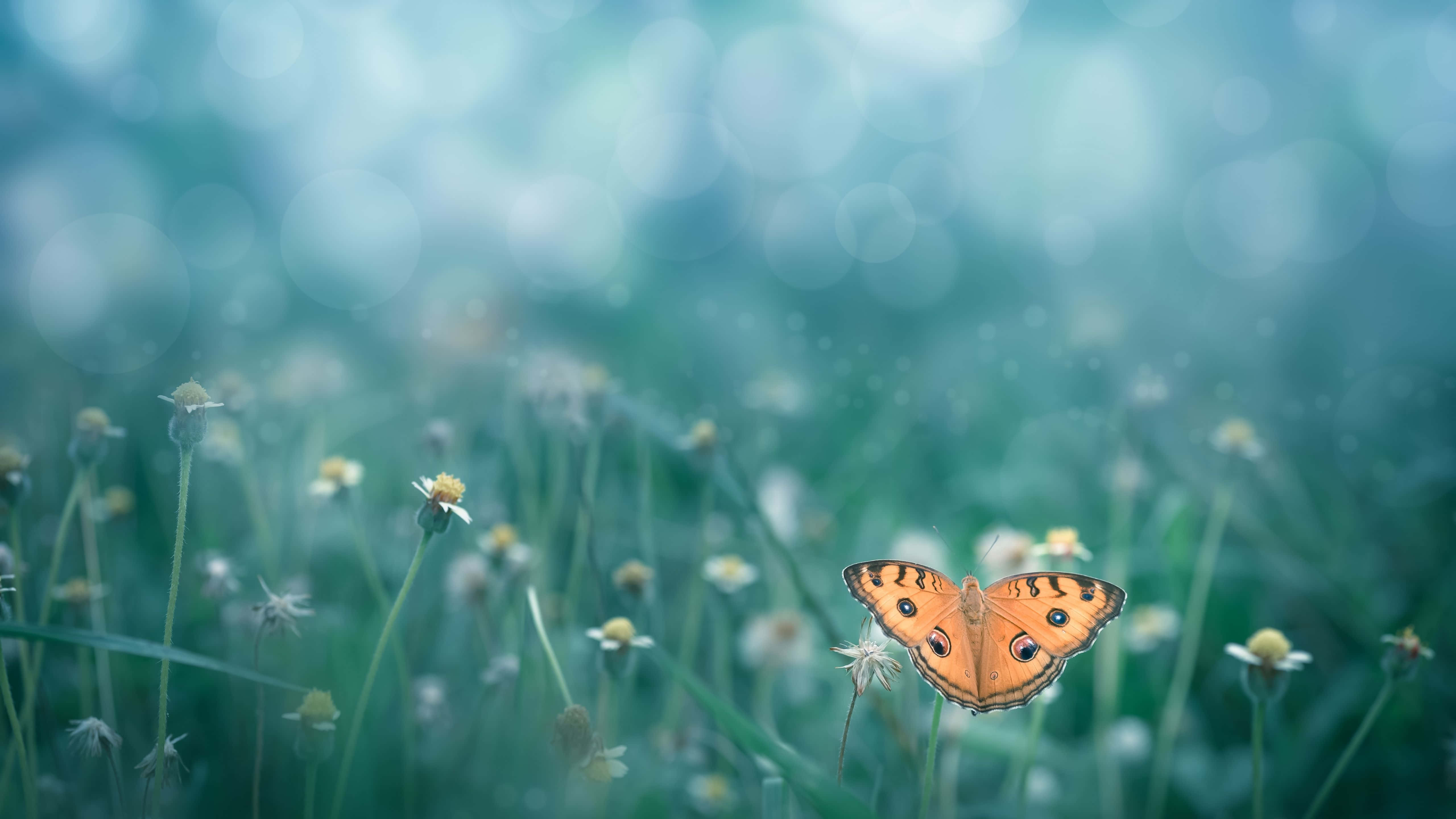'n Pragtige uitsig oor 'n groen bergreeks bo 'n blou meer. Muurpapier