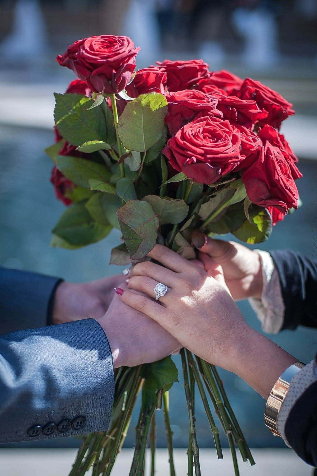 'n Pragtige Verskeidenheid Liefdeblomme in Volle Blom Muurpapier