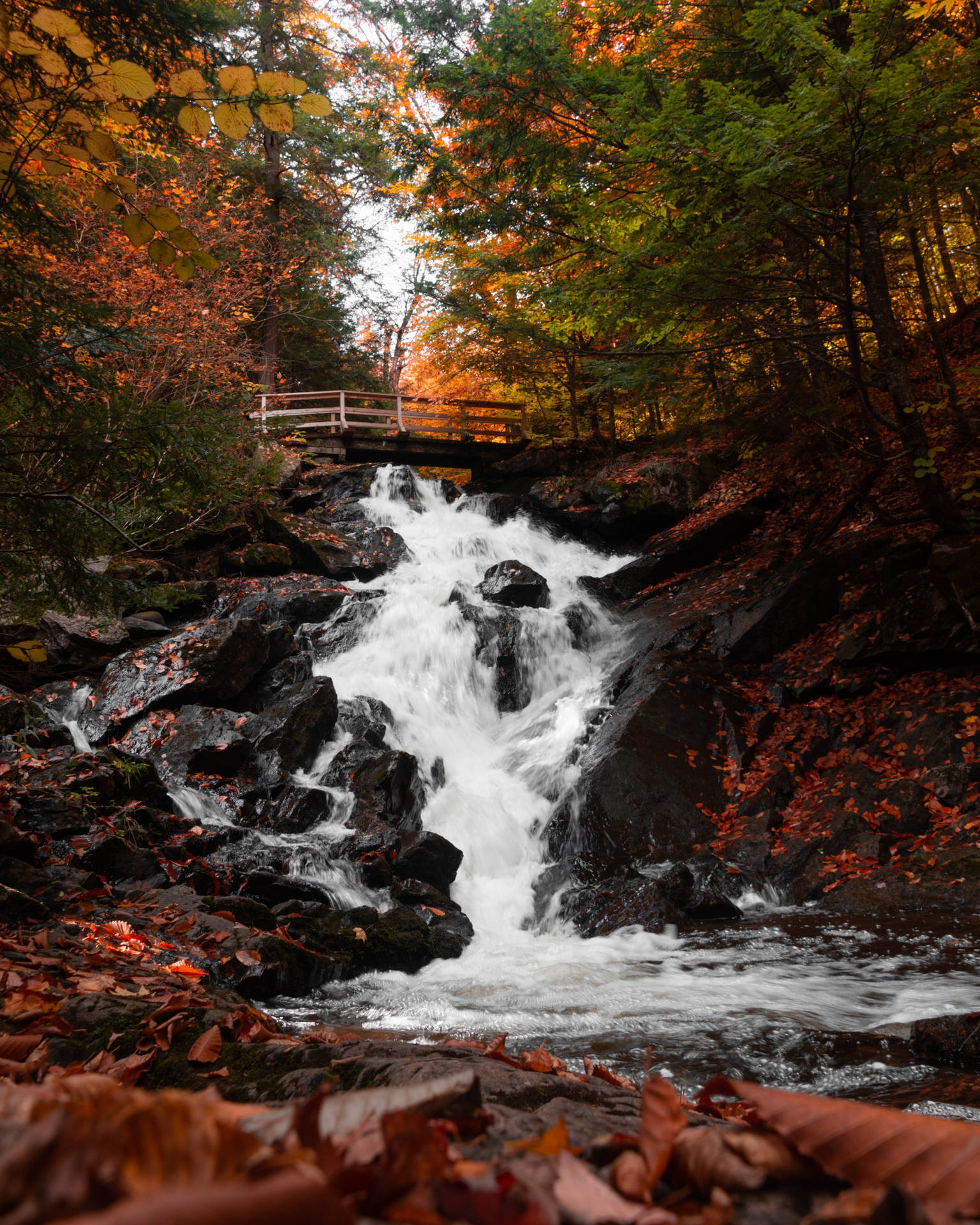 Waterval in donker herfsseisoen-agtergrond.
