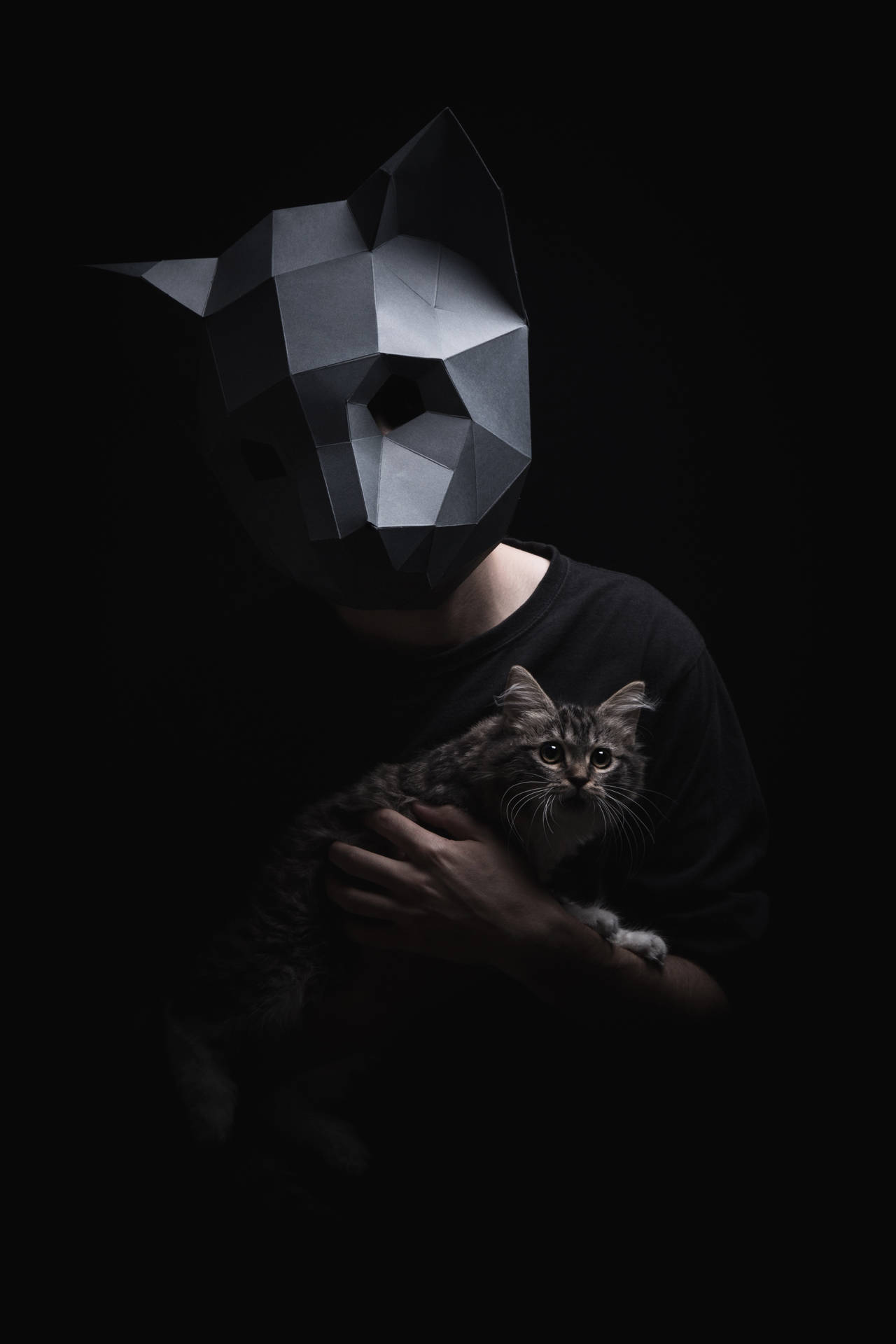 Man wat 'n 3D lae-poli katmasker dra muurpapier