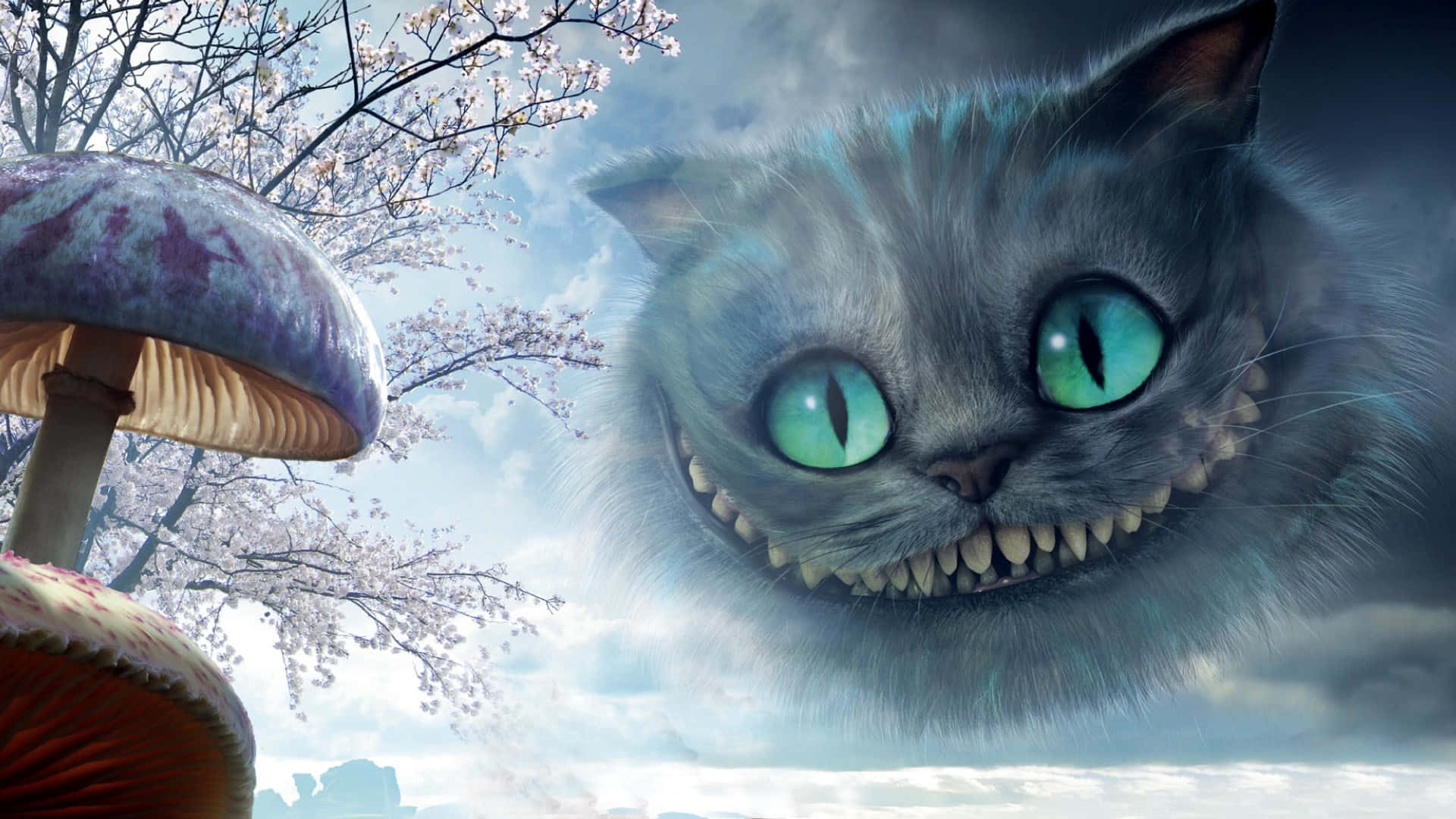 'n Reuse Cheshire-kat glimlag slinks in die sterlig. Muurpapier